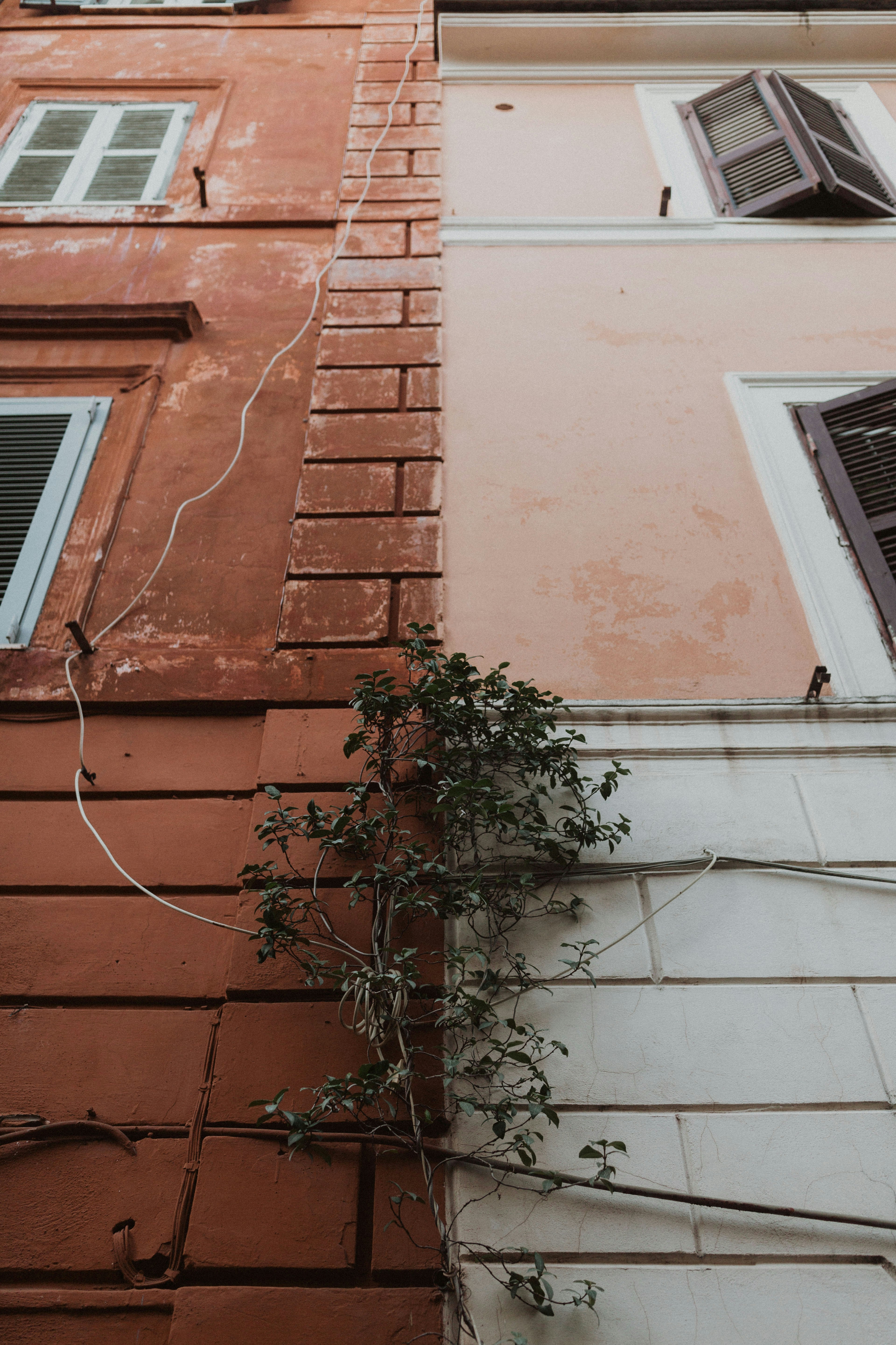 Photo by wazzastudio