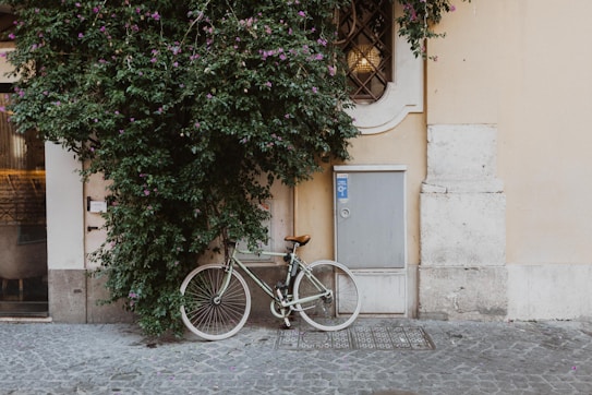 A vintage-style bicycle with a brown leather seat rests against a pale yellow wall, partially covered by lush green foliage with small purple flowers. The textured cobblestone ground adds to the rustic charm of the scene.