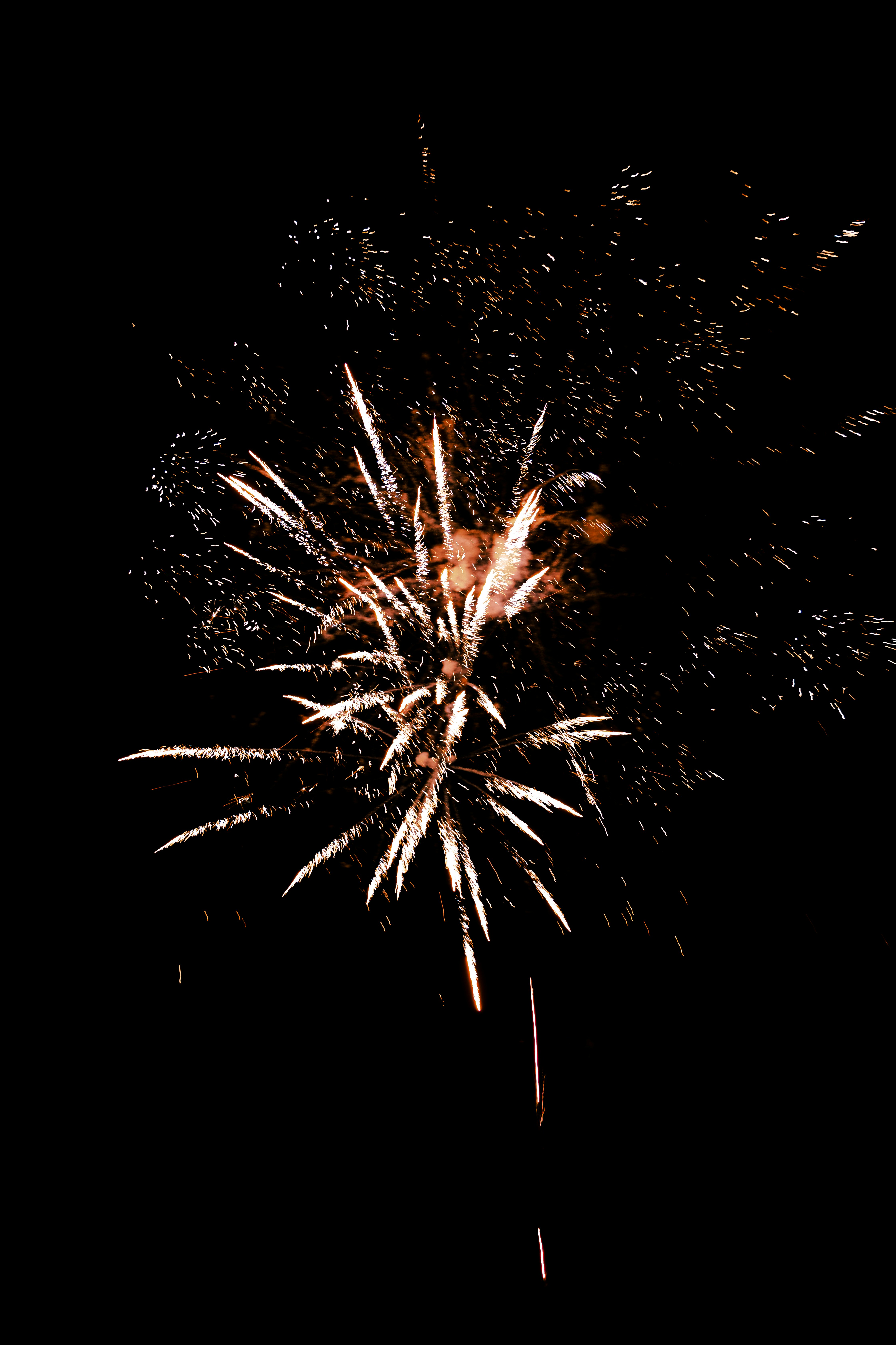 Photo by hanxiaoyaaaaa