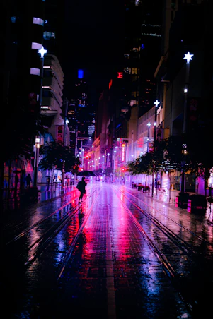 people walking on street during night time