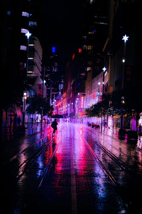 people walking on street during night time