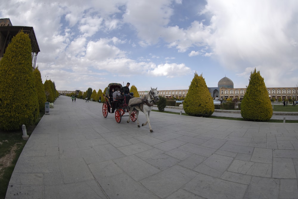 people riding horses on park during daytime