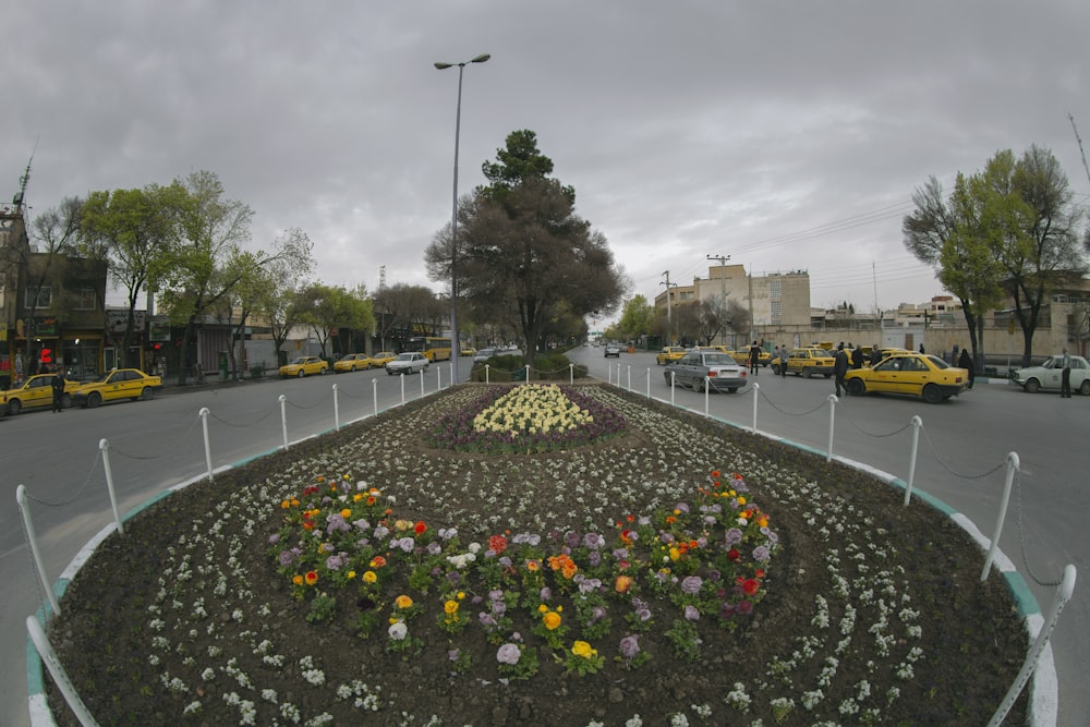 yellow and red flowers on gray concrete road