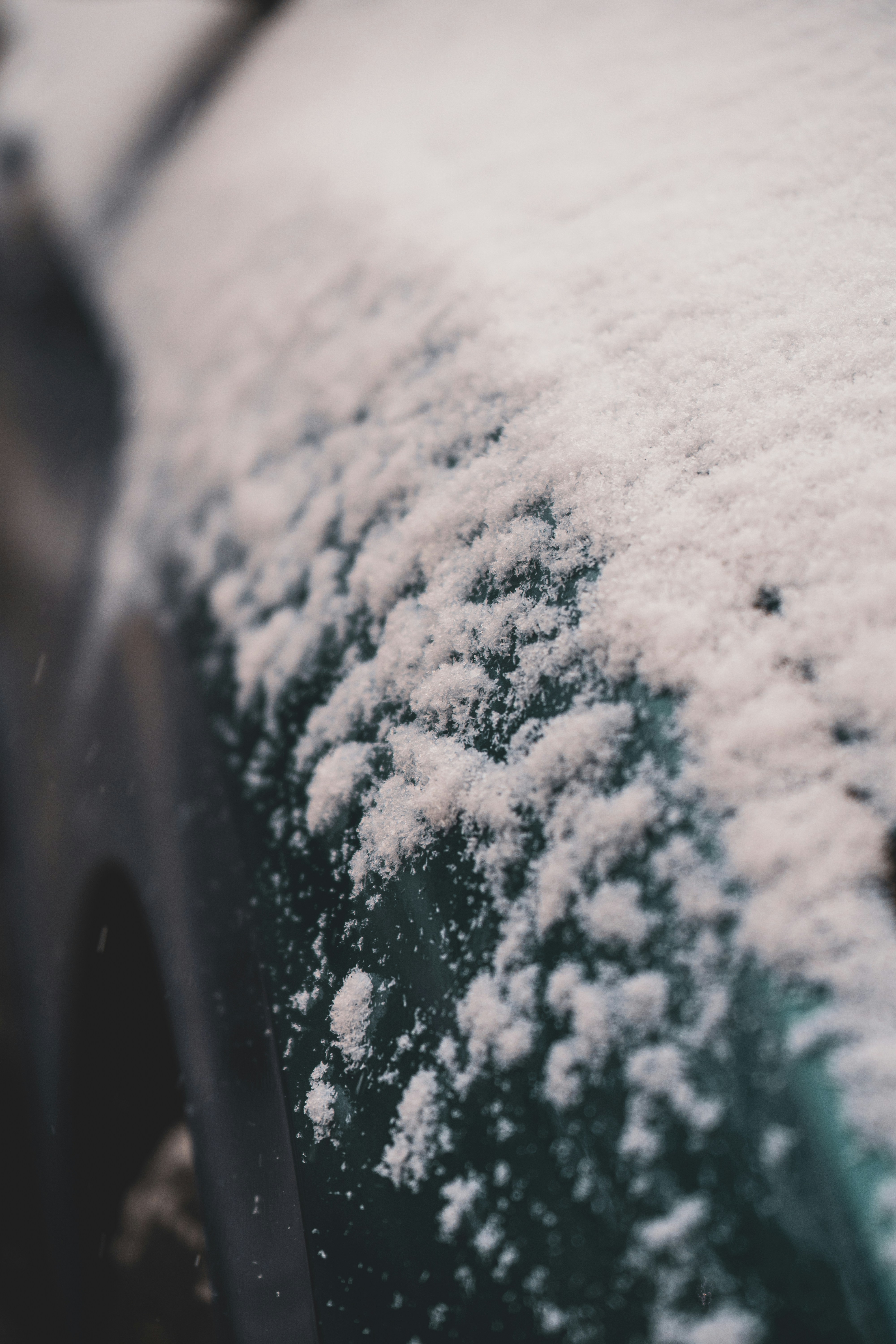 Photo by mayertawfik