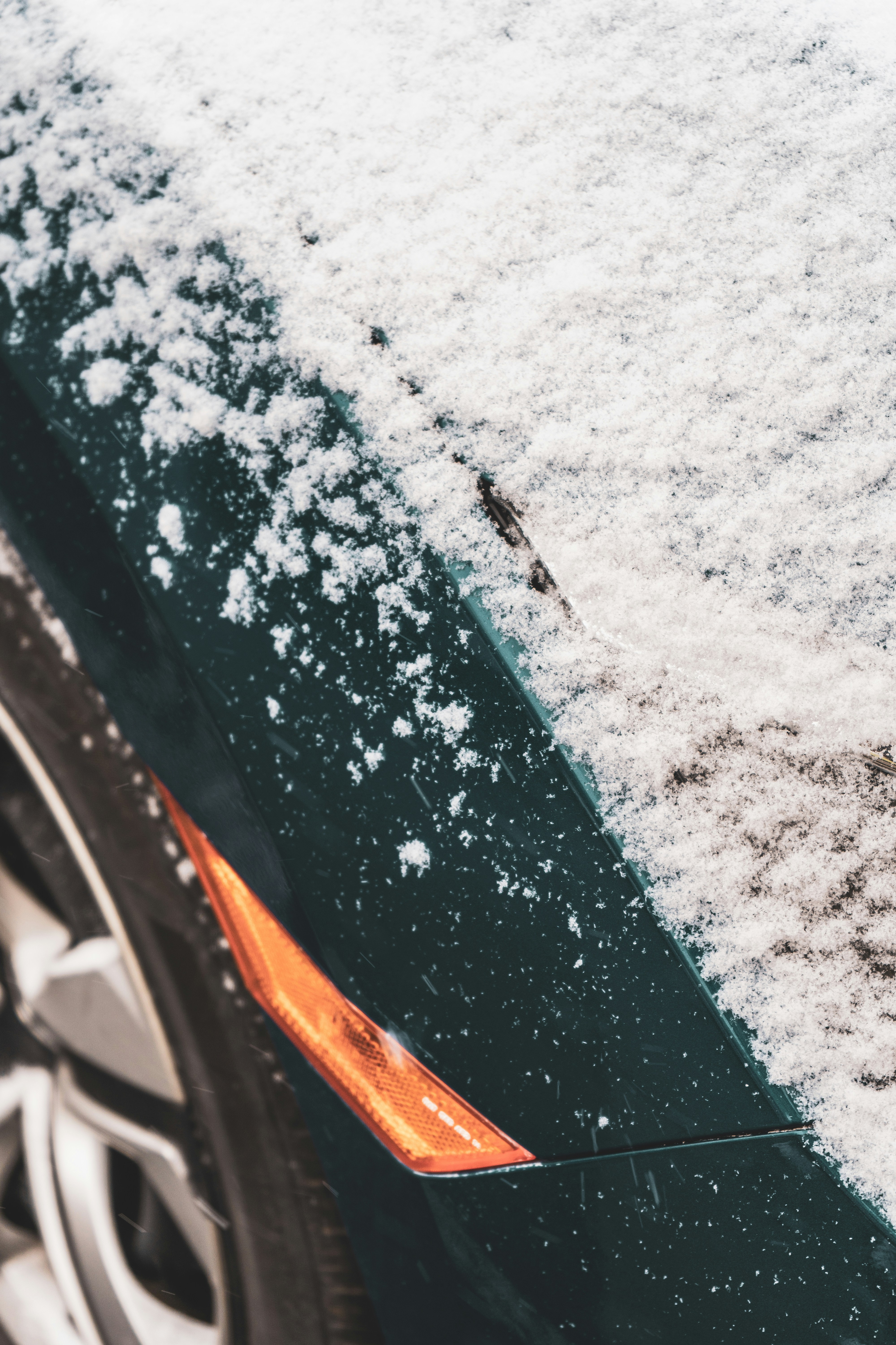 Photo by mayertawfik