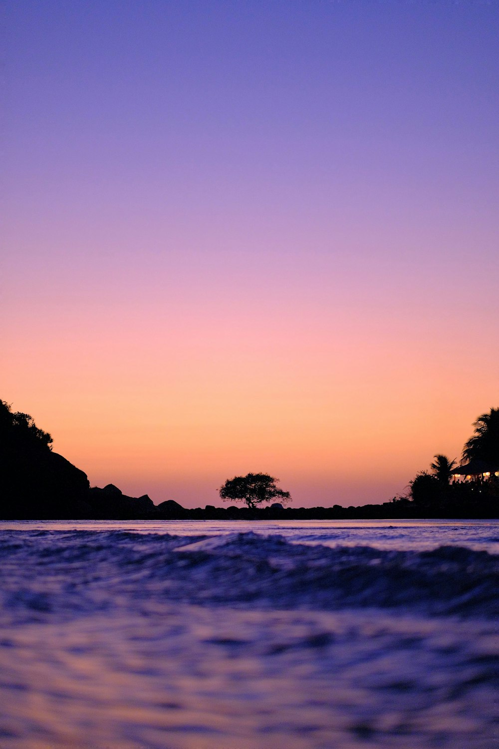 silhouette of trees near body of water during sunset