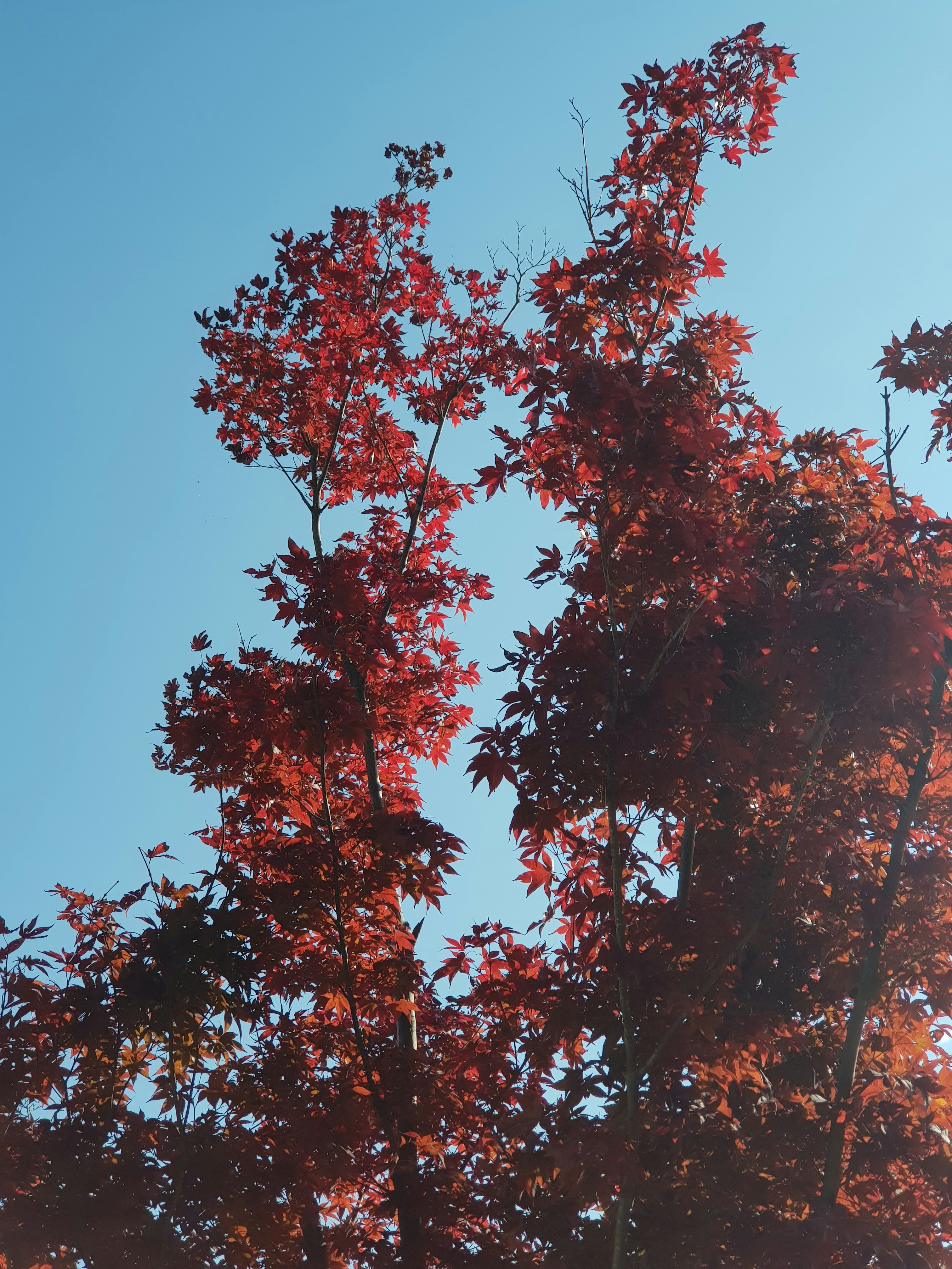 Photo by _picsby_ahal