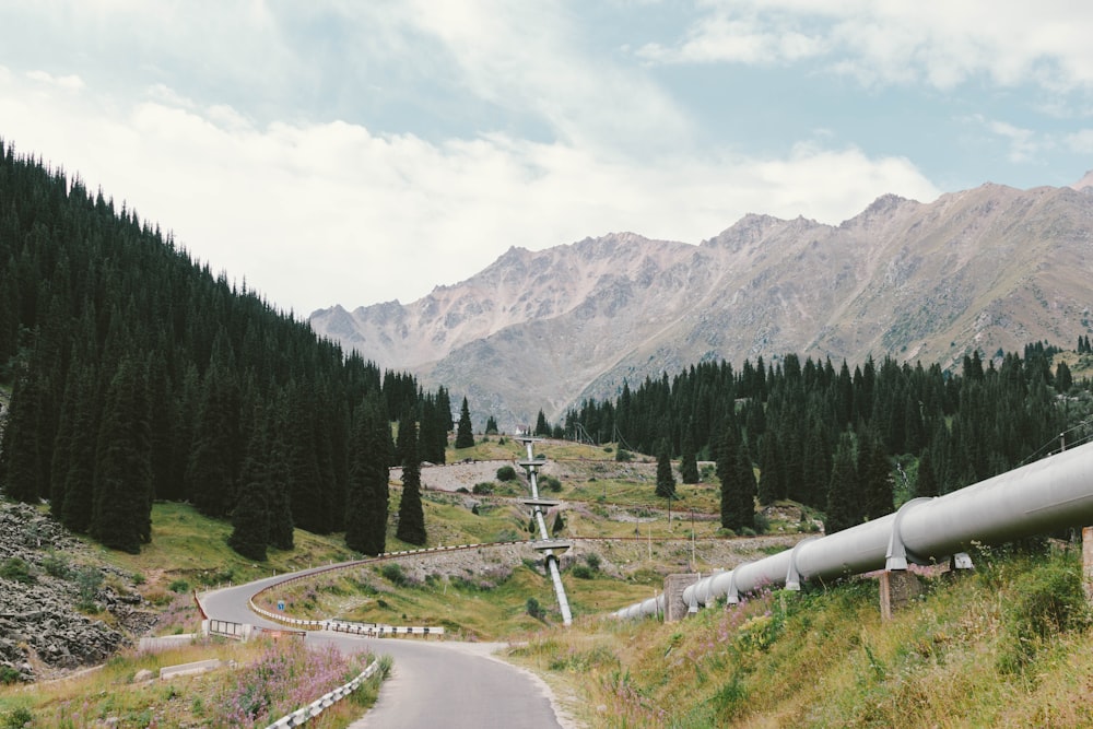 gray concrete road between green trees and mountains during daytime