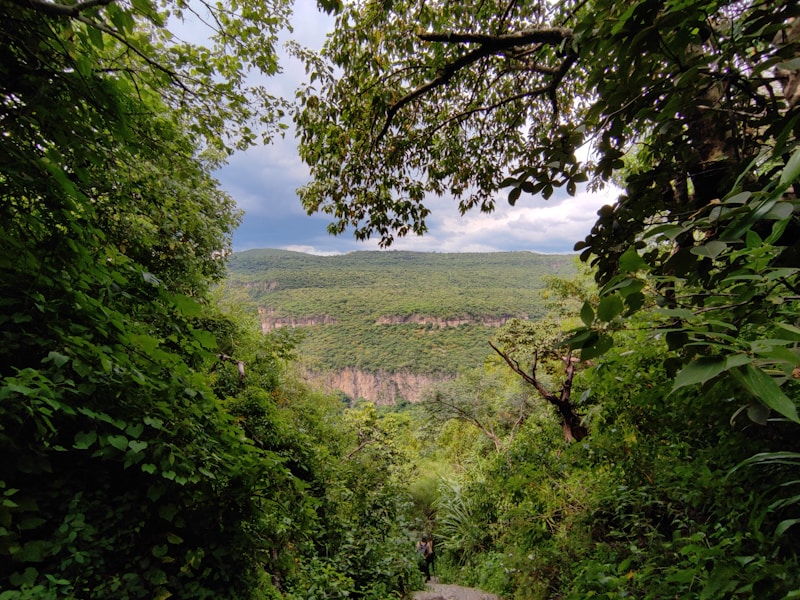 Barranca