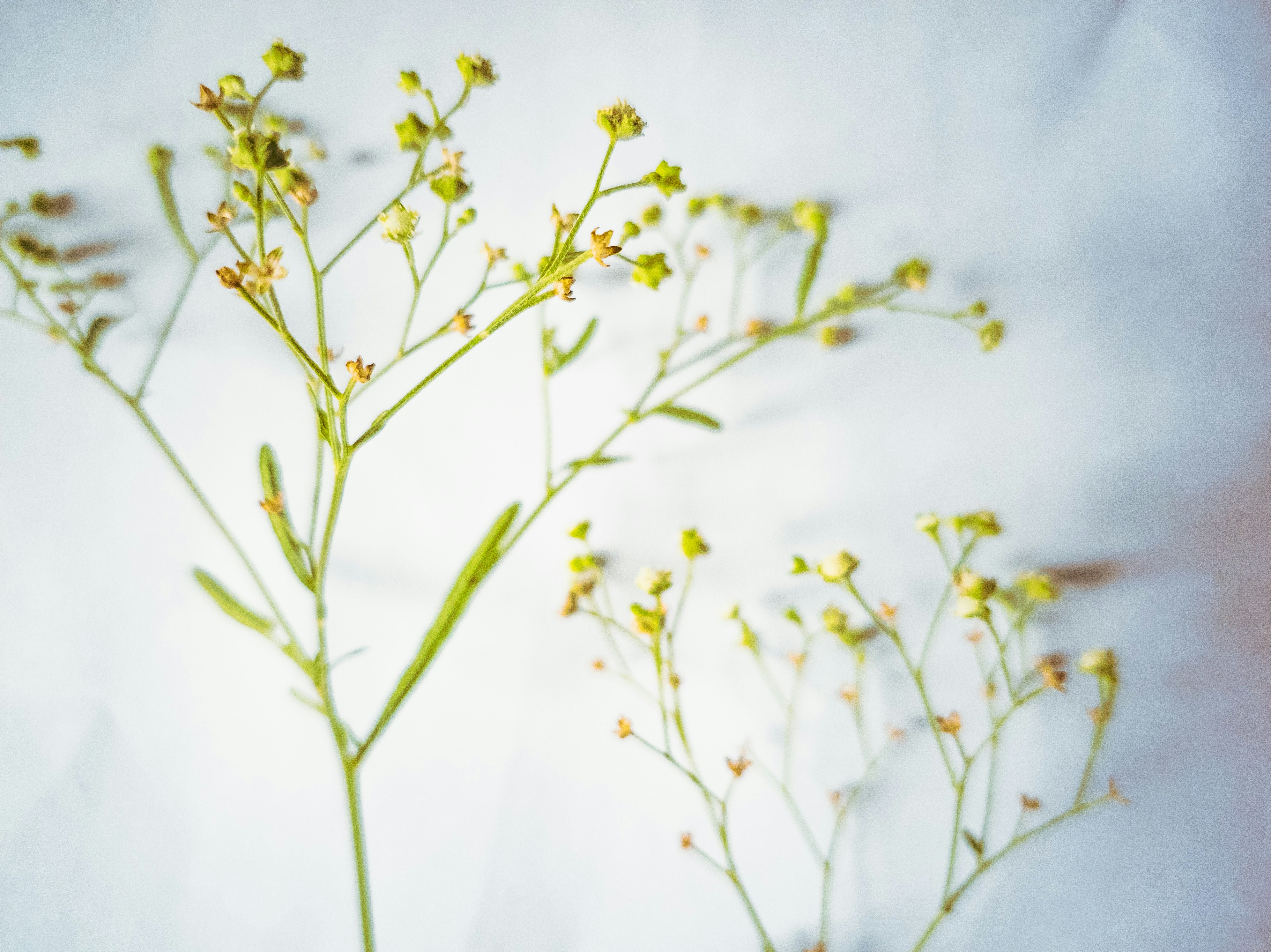 Photo by imakshay2417