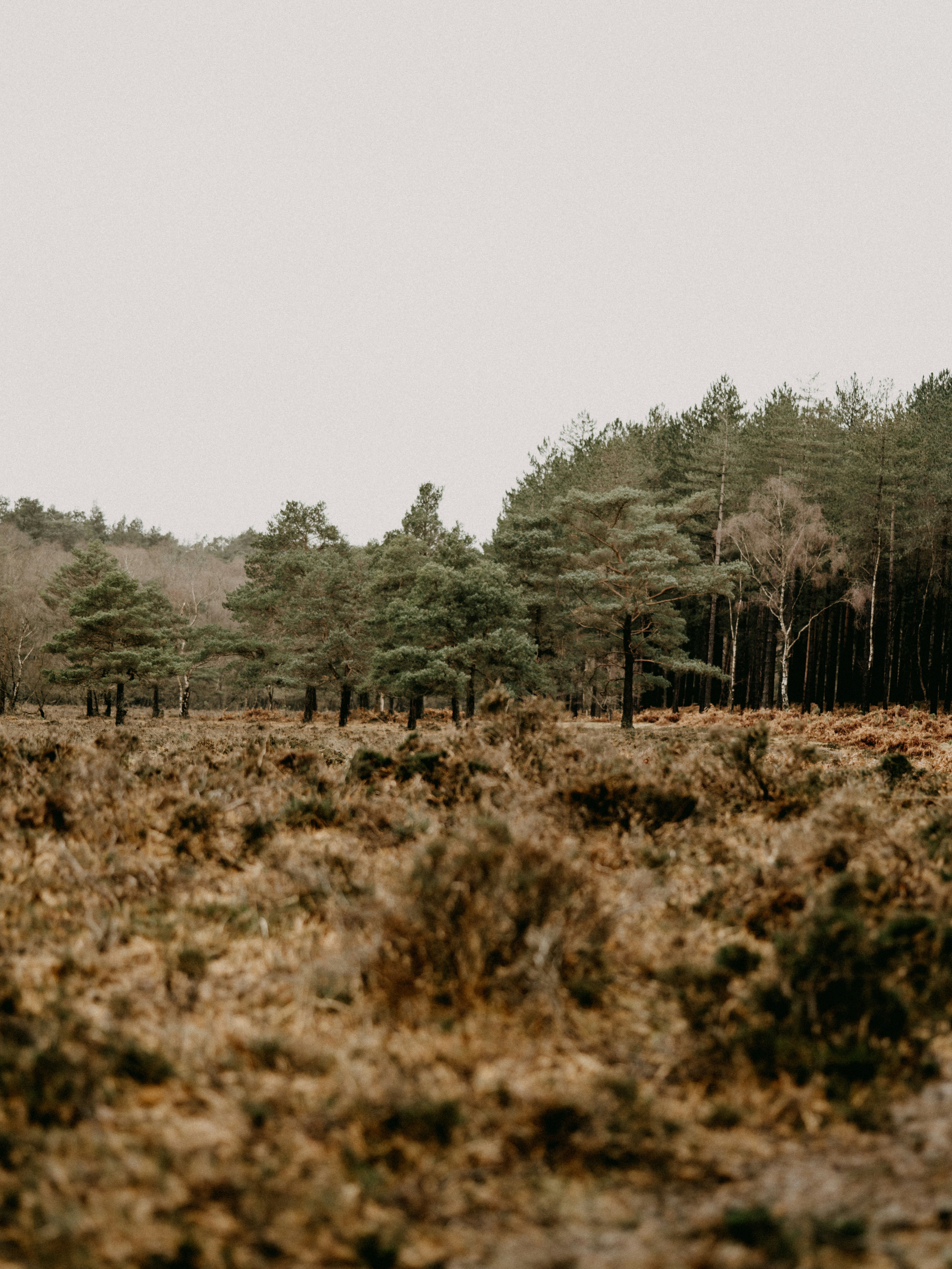 Photo by anniespratt