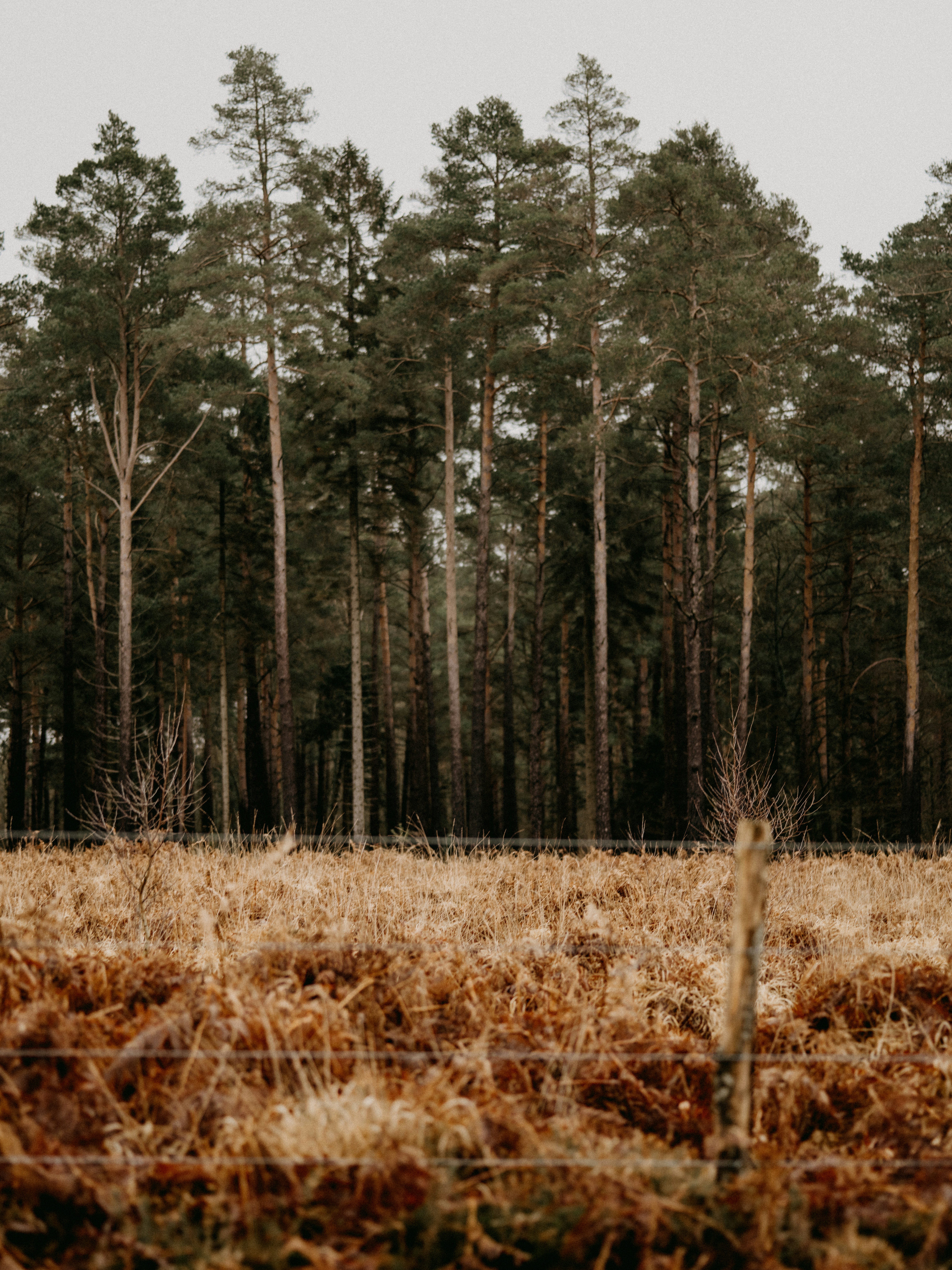 Photo by anniespratt