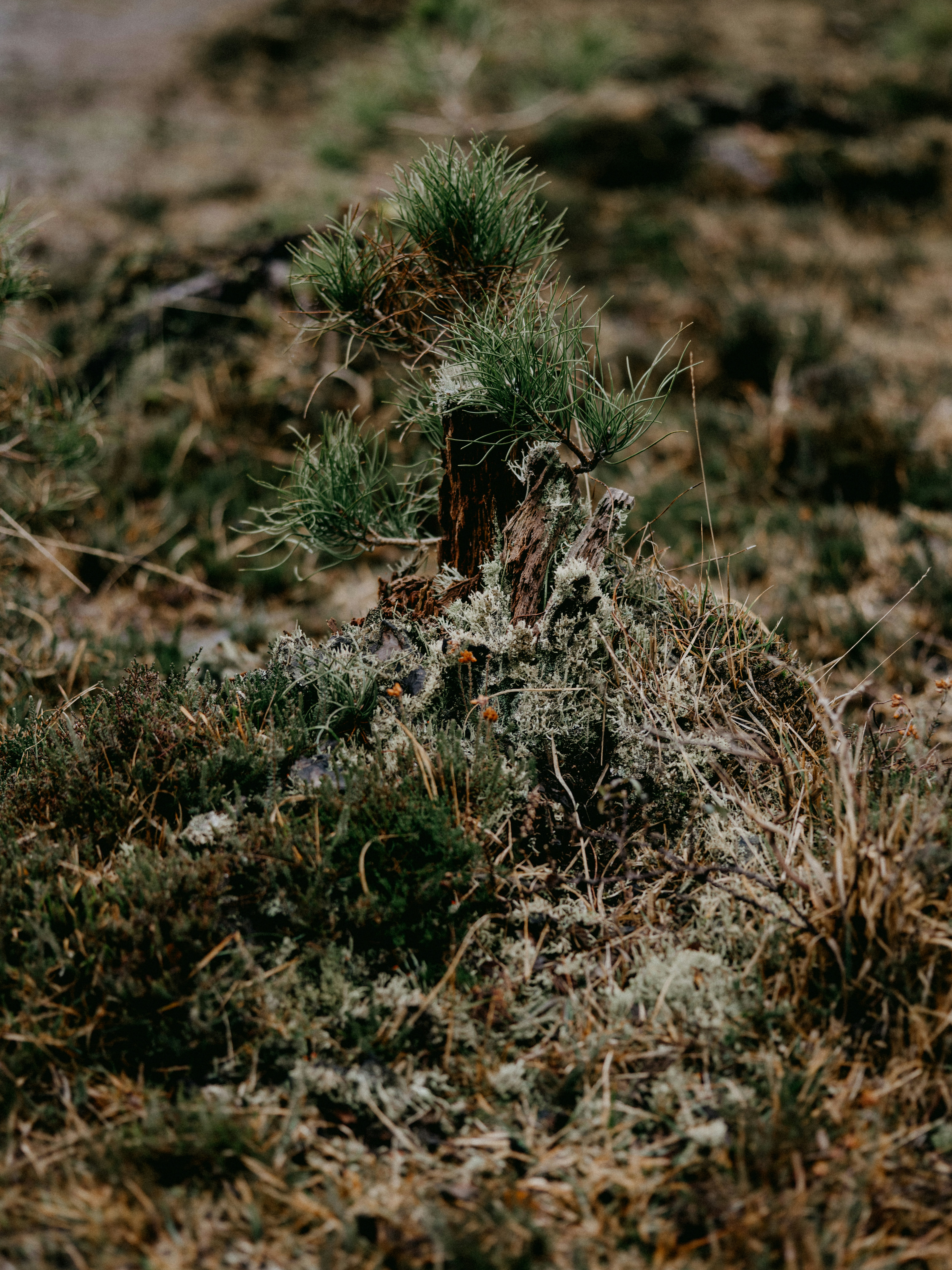 Photo by anniespratt