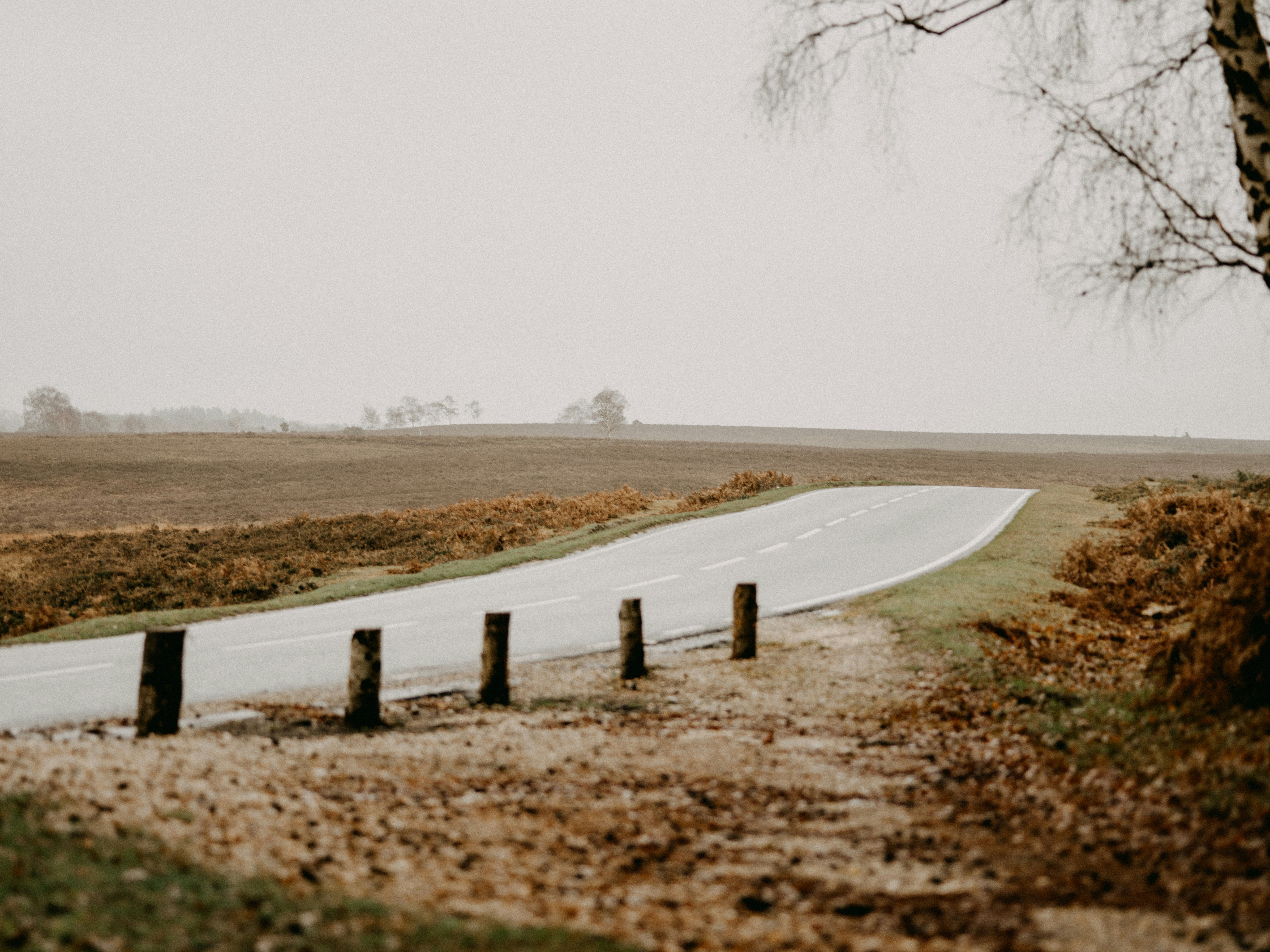 Photo by anniespratt