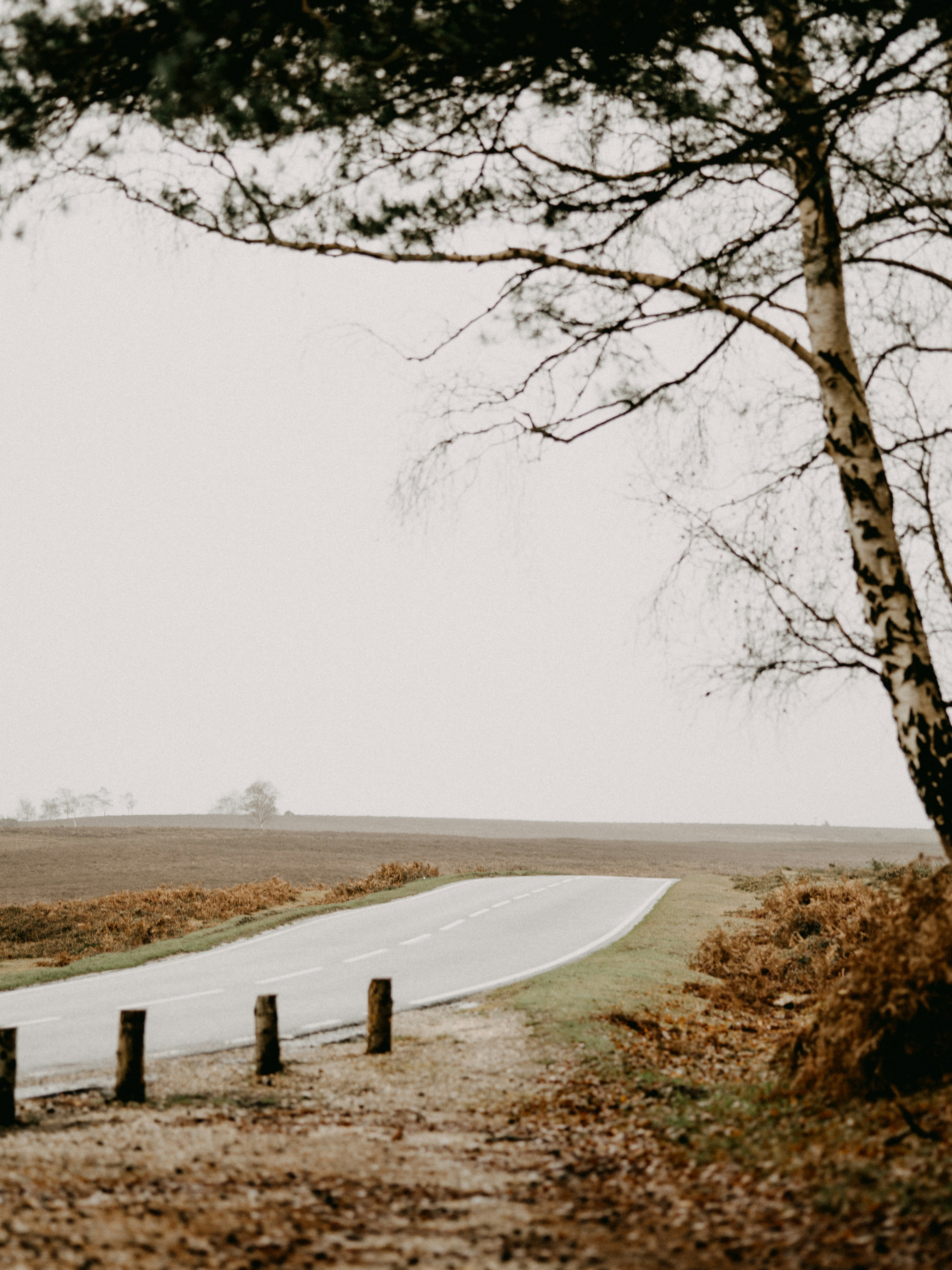 Photo by anniespratt