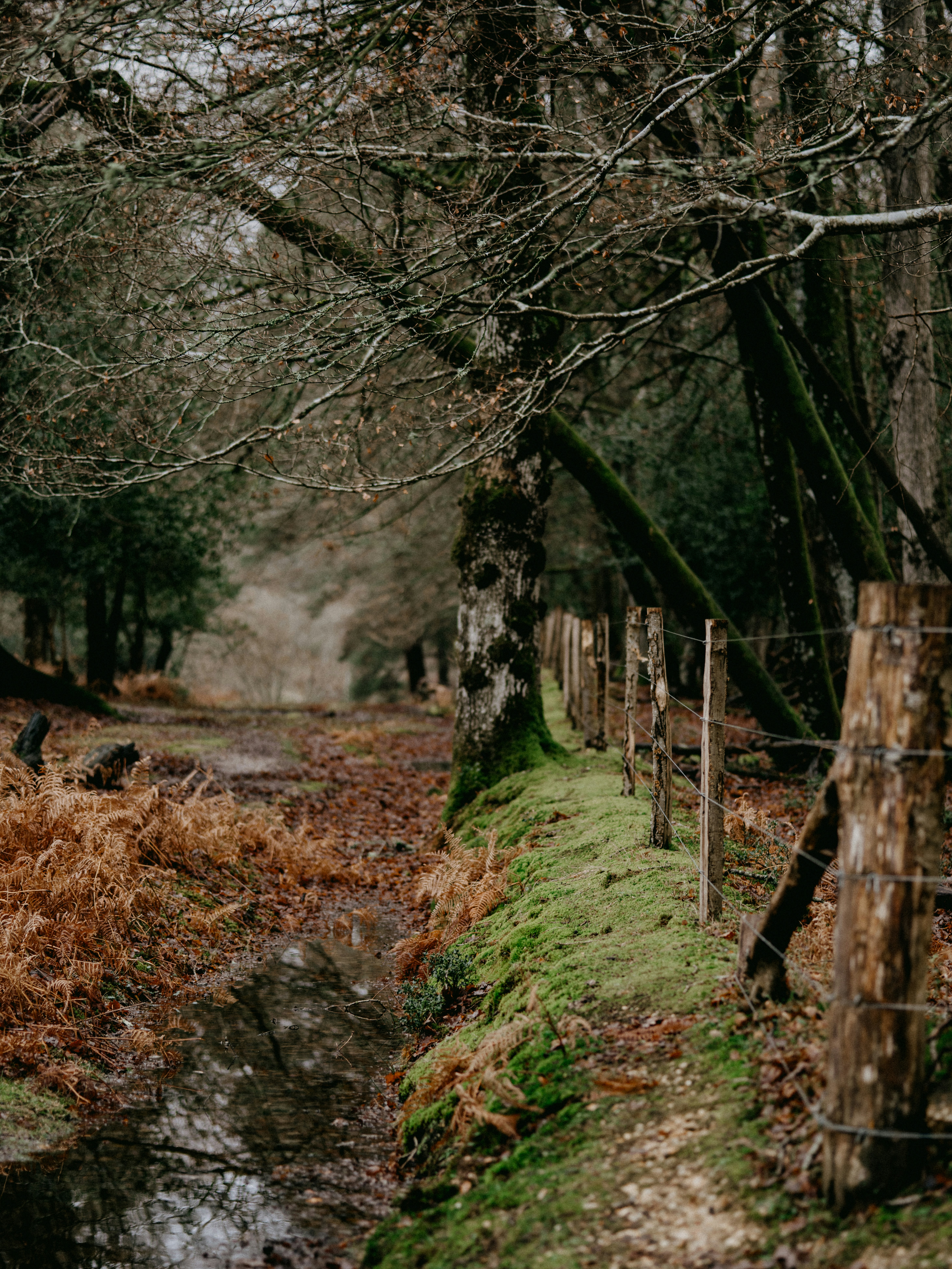 Photo by anniespratt