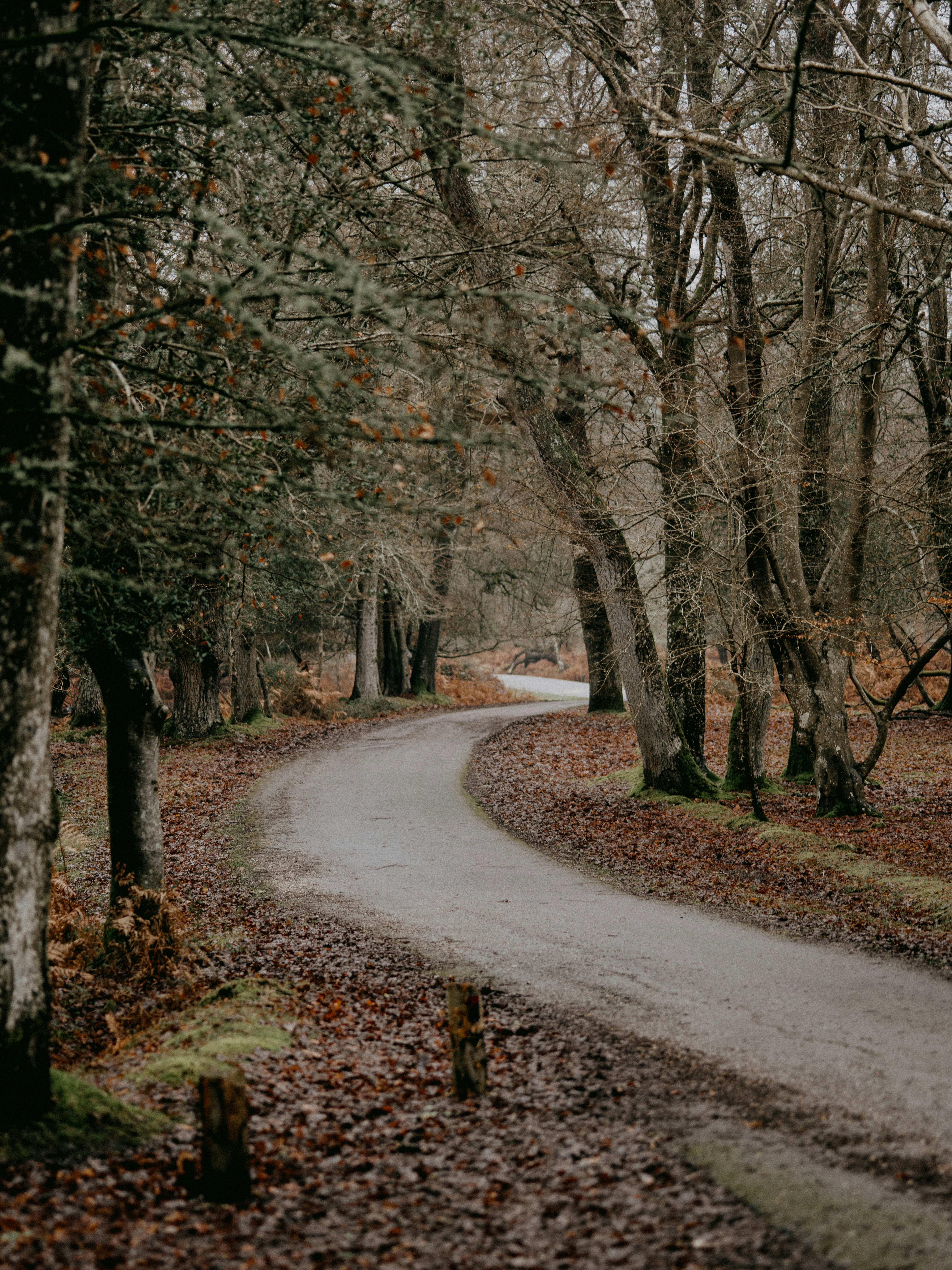 Photo by anniespratt