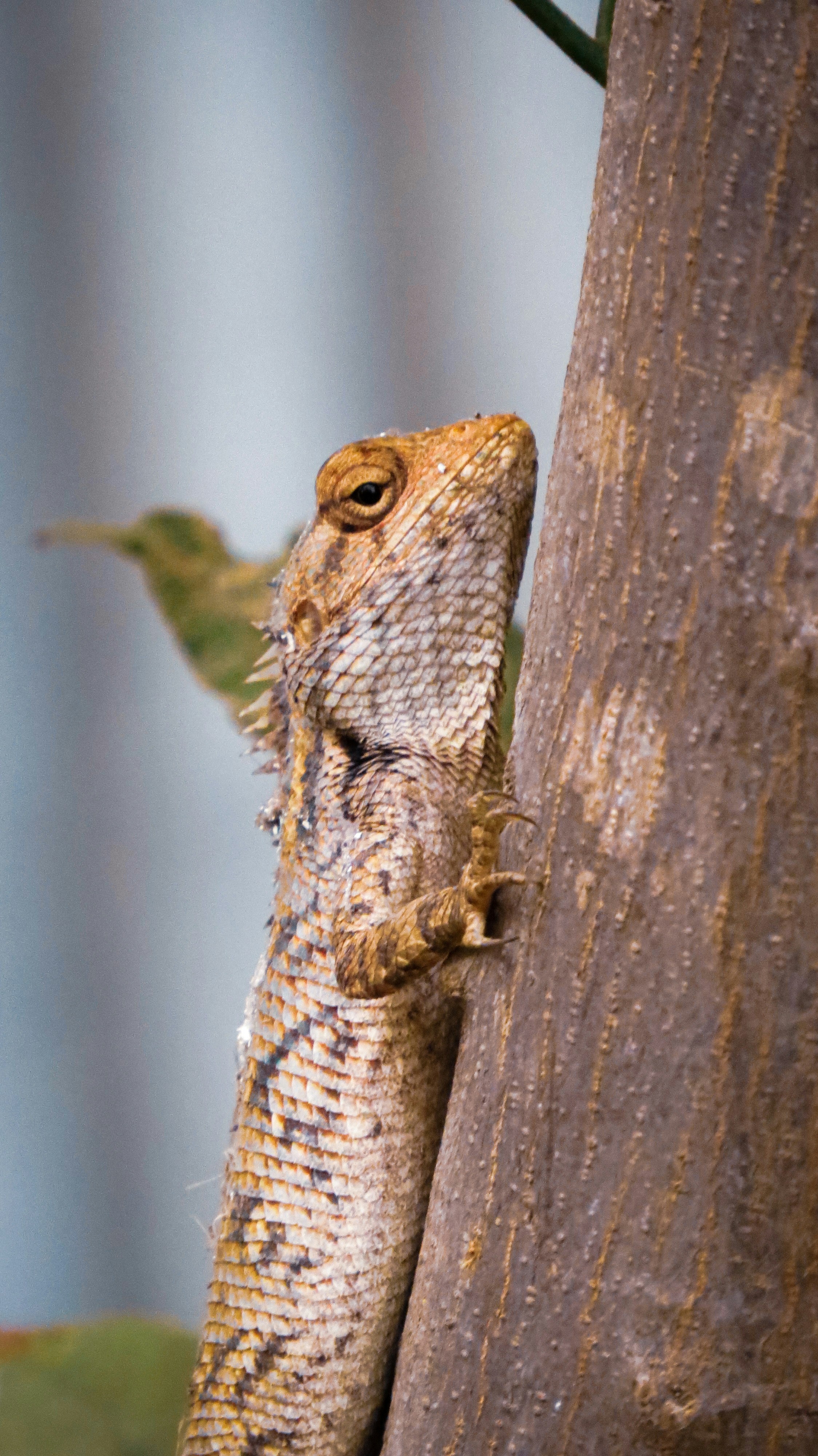 Photo by anandramavath_786