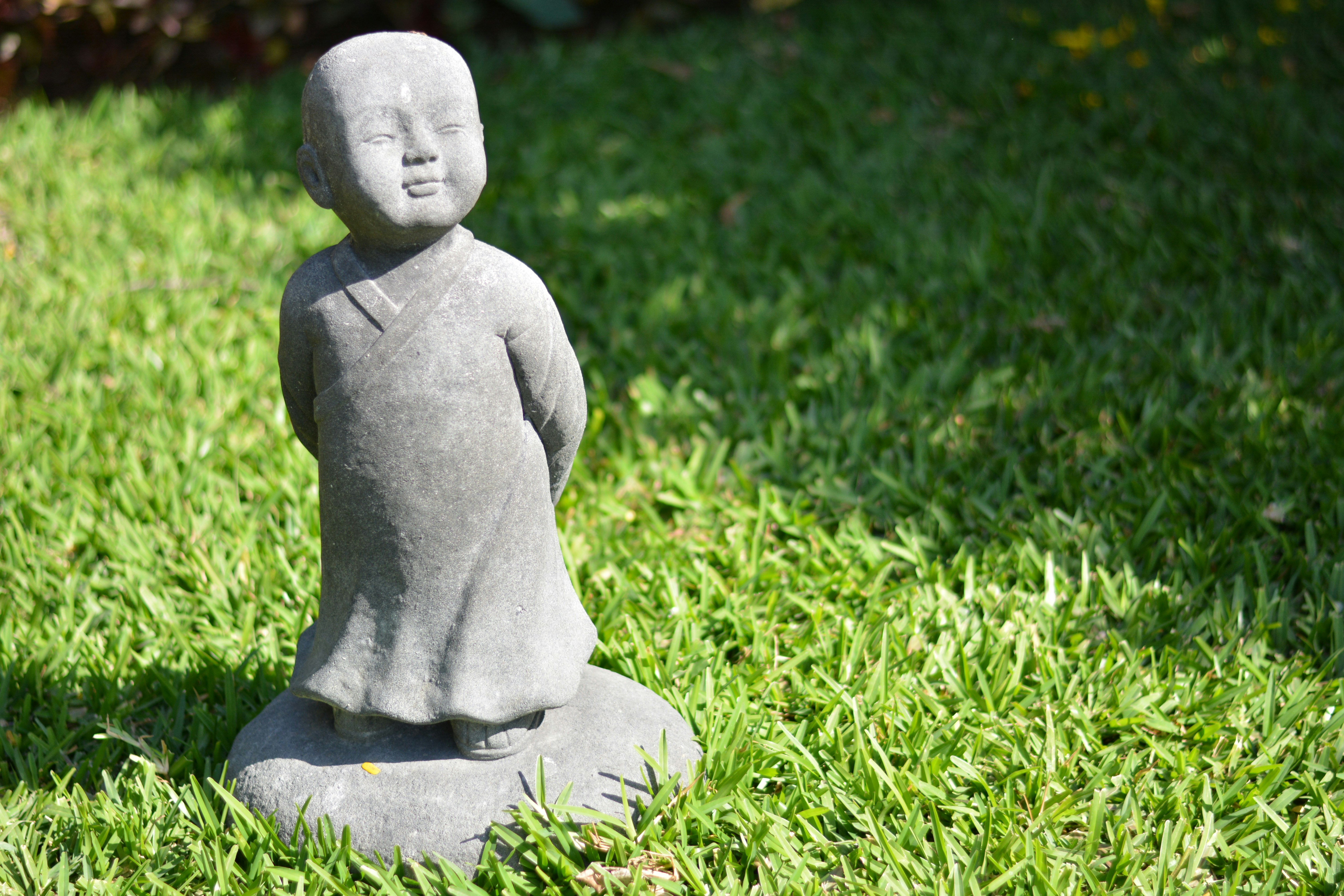 Photo by sagarpatel124