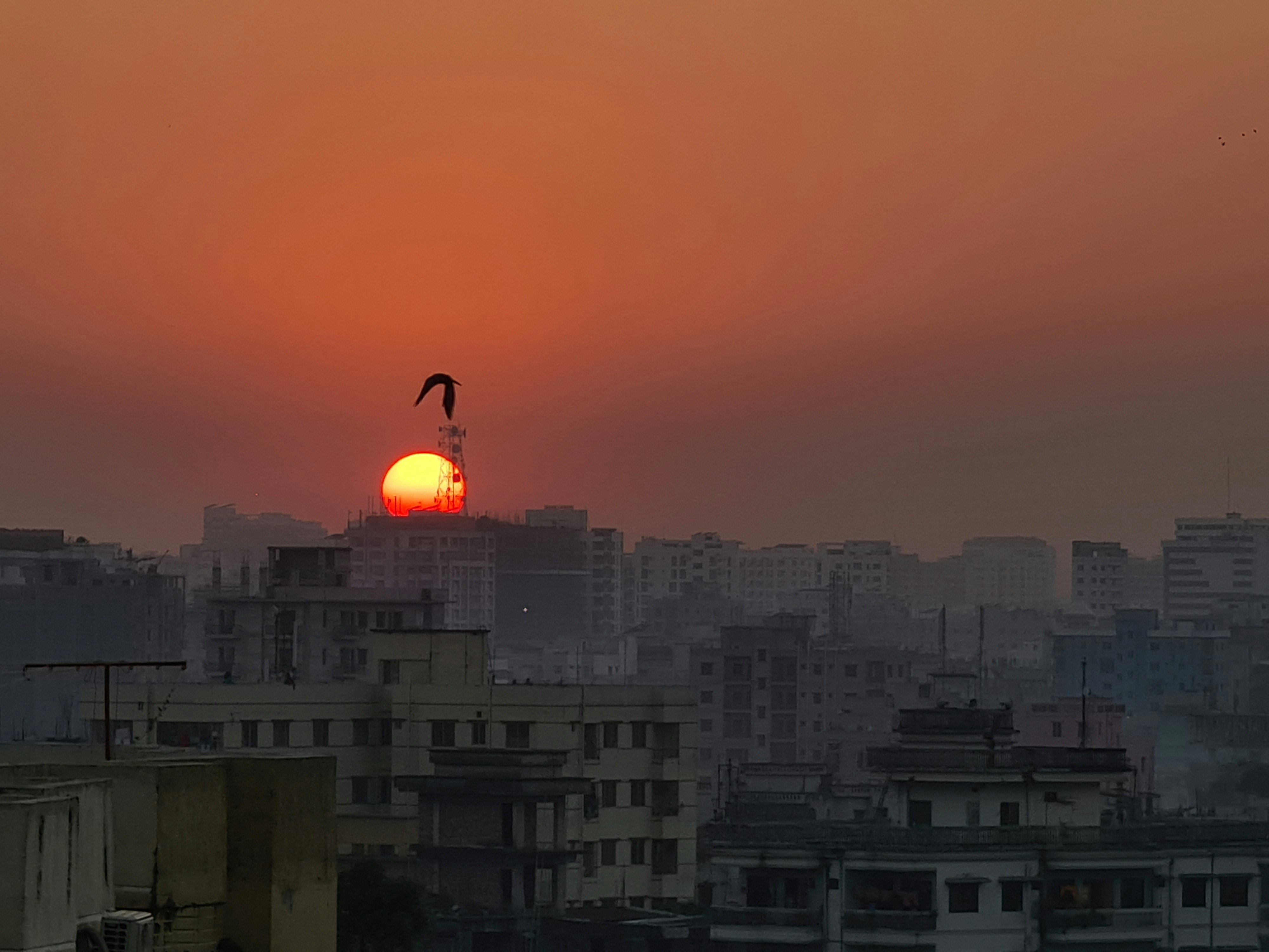 Best Budget Smartphone Under ₹20,000 in India 2025: Ultimate Guide