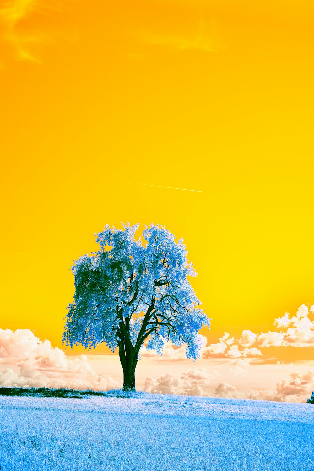 Árbol verde bajo el cielo azul durante el día