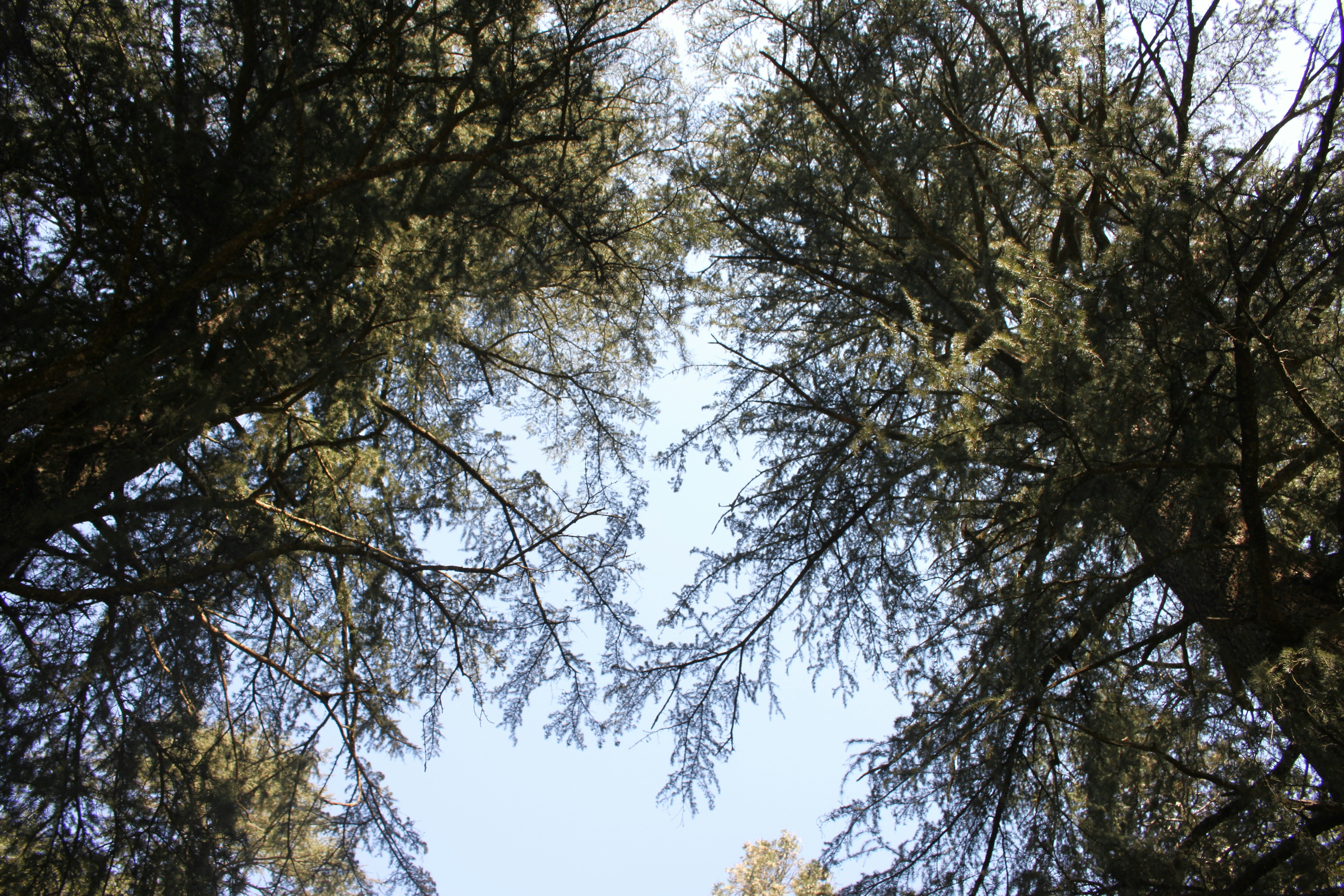 Photo by georgie_mack_