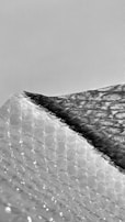 A textured surface of plastic bubble wrap is partially covered by a dark shadow, creating a striking contrast. The bubbles are evenly distributed, and the shadow adds depth and dimension.