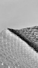 A textured surface of plastic bubble wrap is partially covered by a dark shadow, creating a striking contrast. The bubbles are evenly distributed, and the shadow adds depth and dimension.