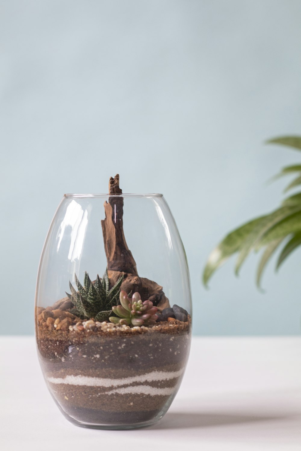 clear drinking glass with water and green plant