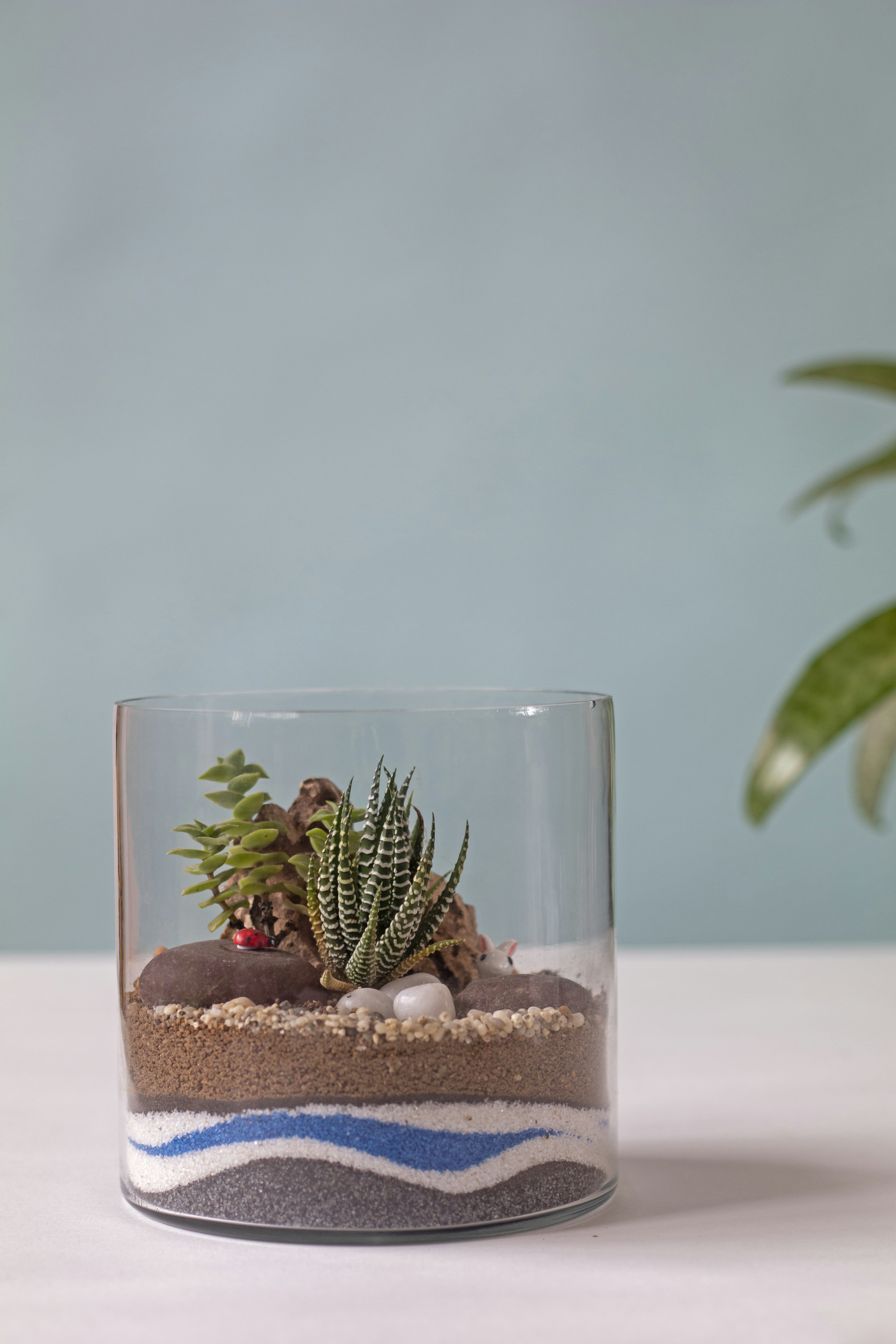 Decorative glass terrarium with succulent plants for modern home styling