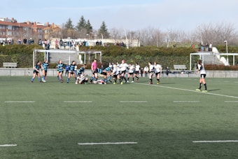 A group of athletes are playing rugby on a green field. The teams are distinguishable by their uniforms; one team wears black and white, while the other wears blue and black stripes. In the background, there are spectators sitting on steps and standing, watching the game. The setting is outdoors, possibly in a park or sports complex, with bare trees and bushes beyond the field.