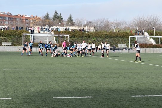 A group of athletes are playing rugby on a green field. The teams are distinguishable by their uniforms; one team wears black and white, while the other wears blue and black stripes. In the background, there are spectators sitting on steps and standing, watching the game. The setting is outdoors, possibly in a park or sports complex, with bare trees and bushes beyond the field.