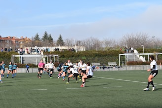 people on green grass field during daytime
