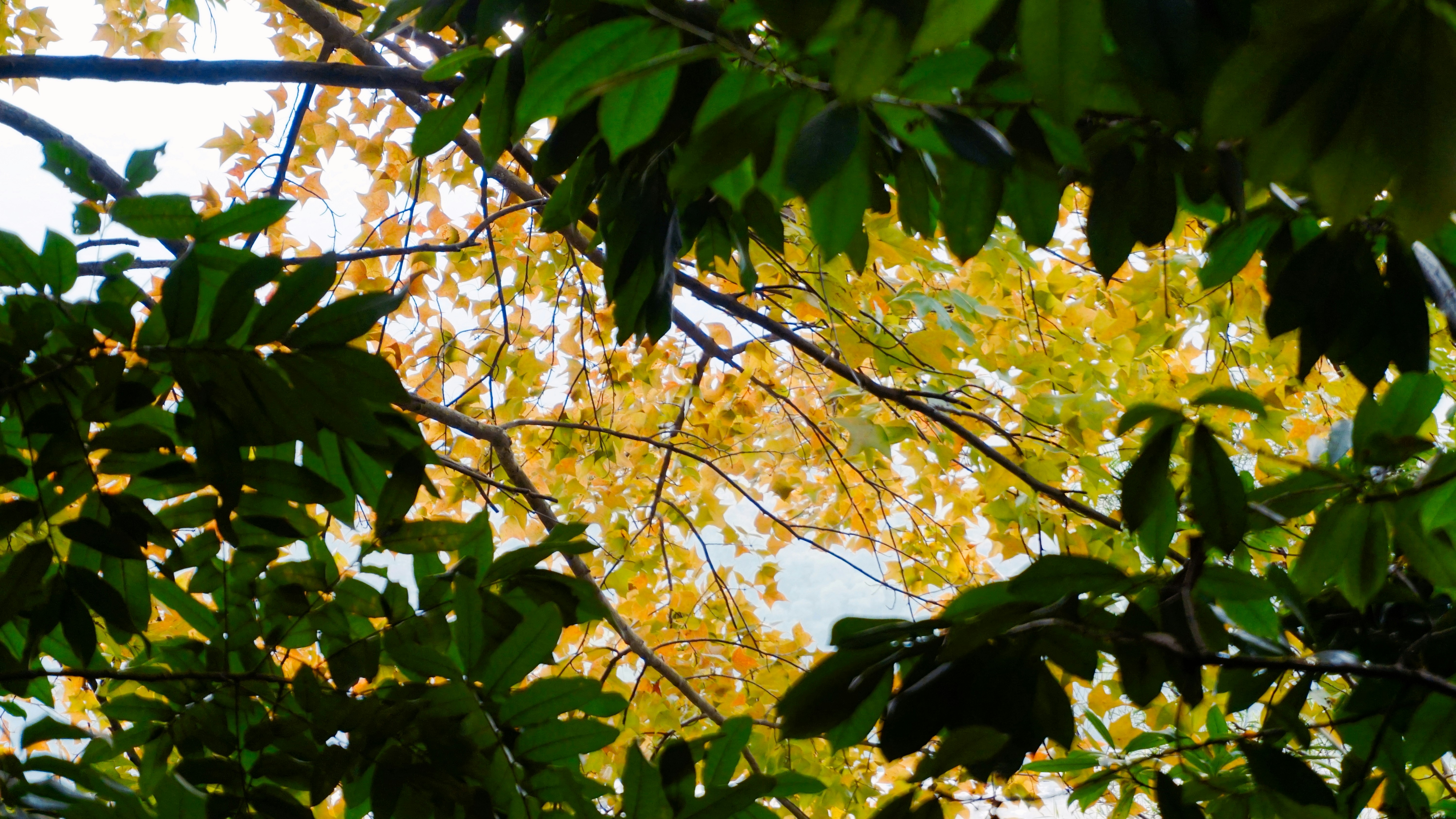 Photo by cindyhwang2020