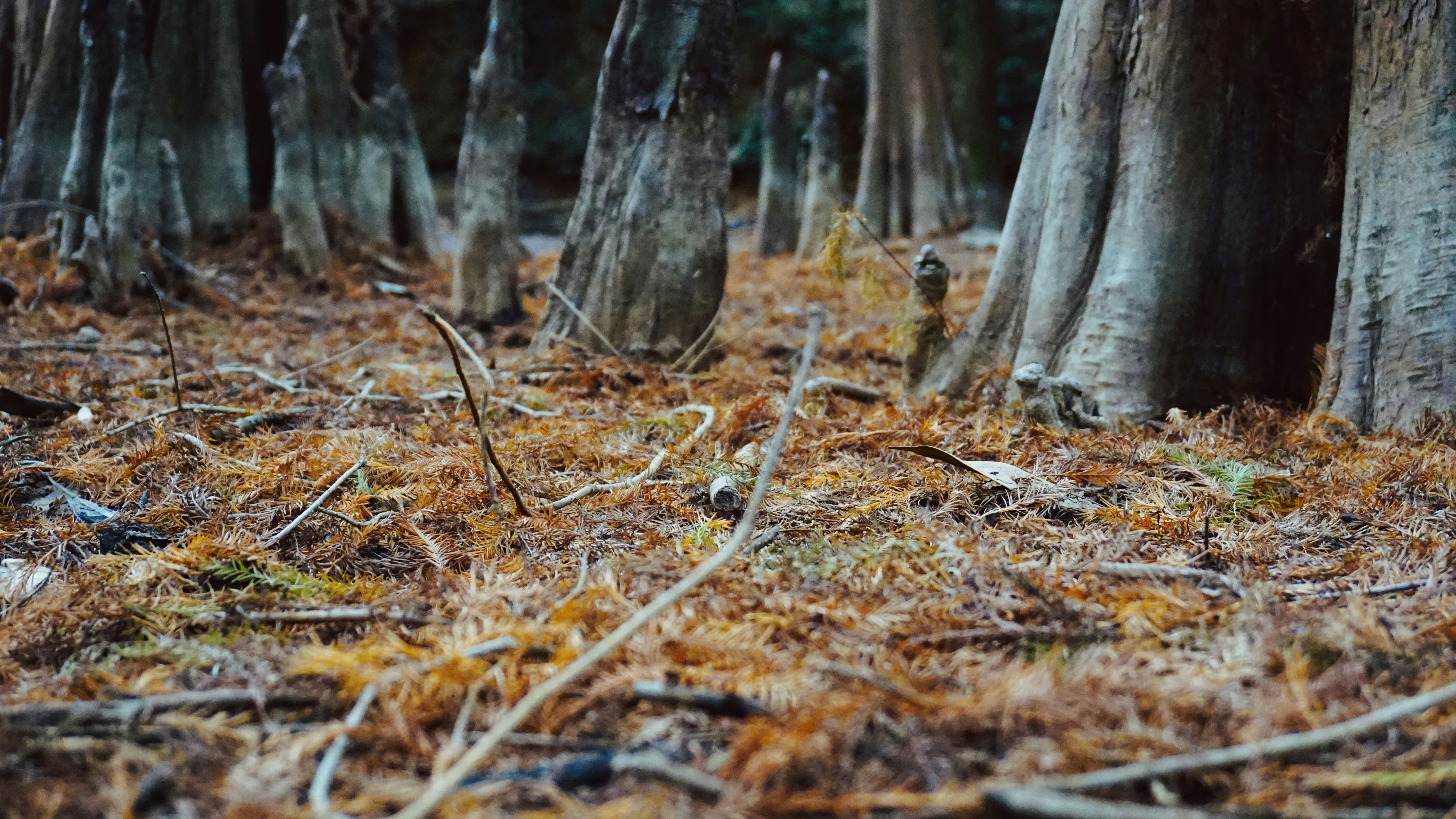 Photo by cindyhwang2020