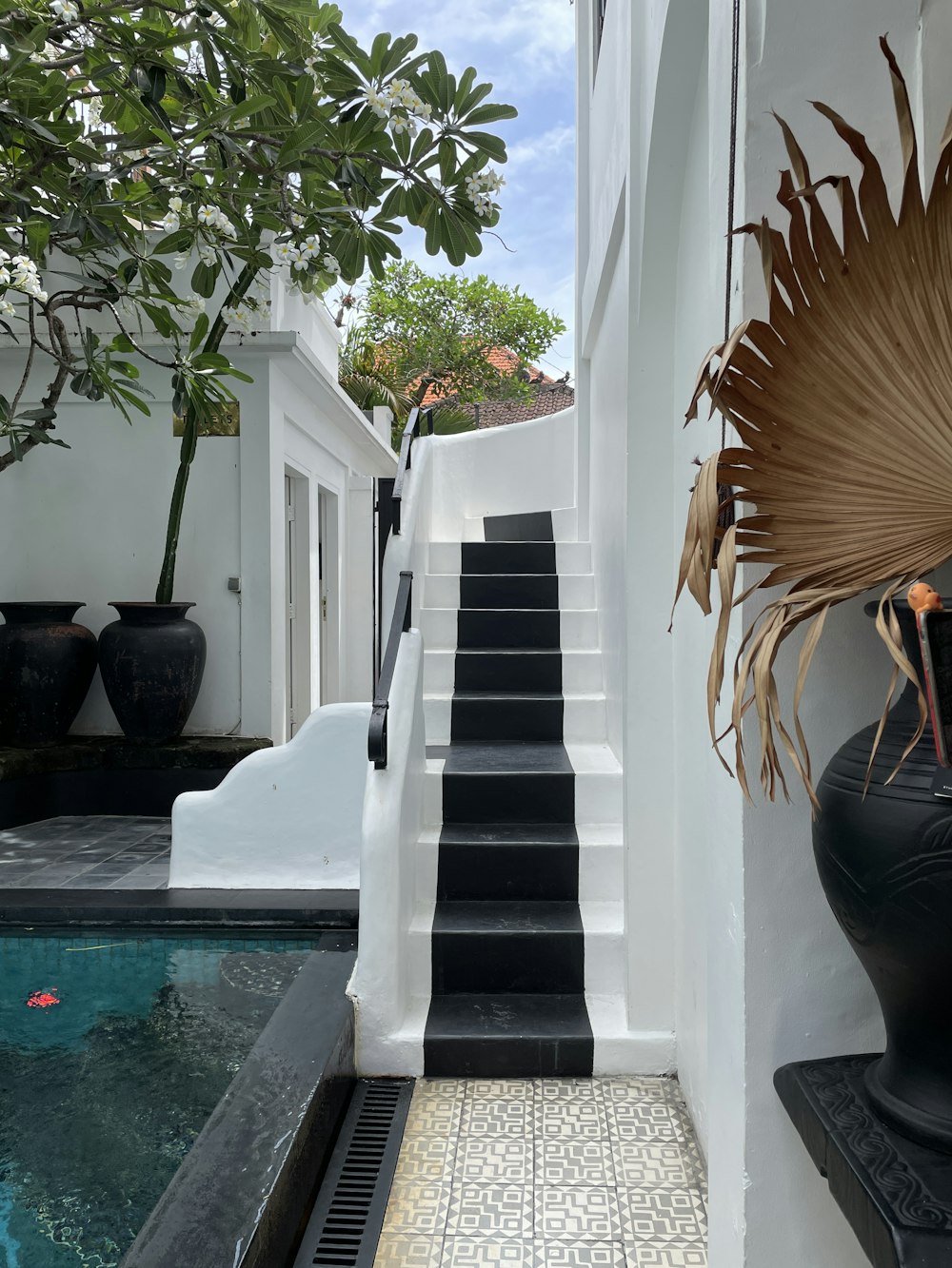 brown palm tree near white concrete pillar