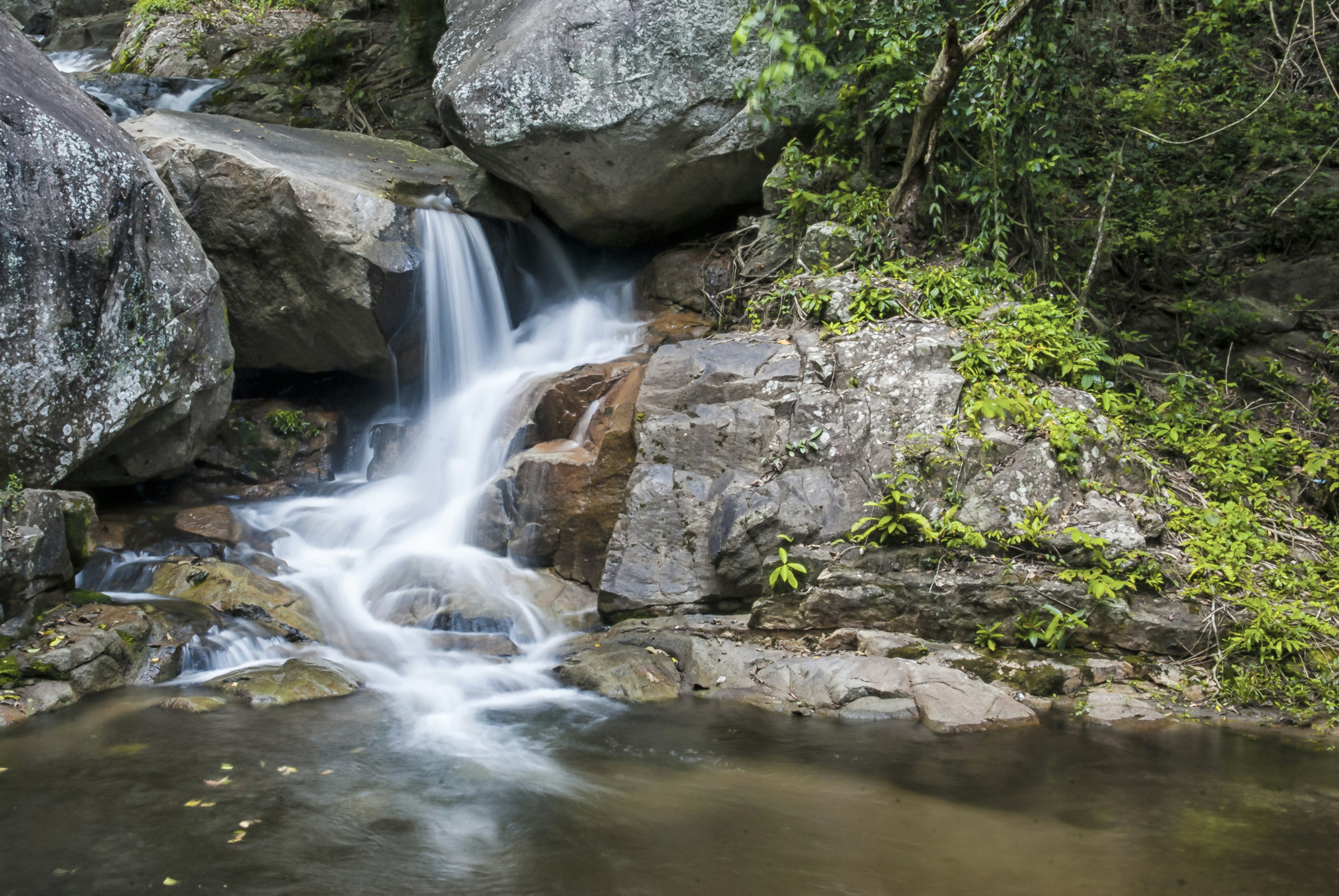 Photo by thom_oxford