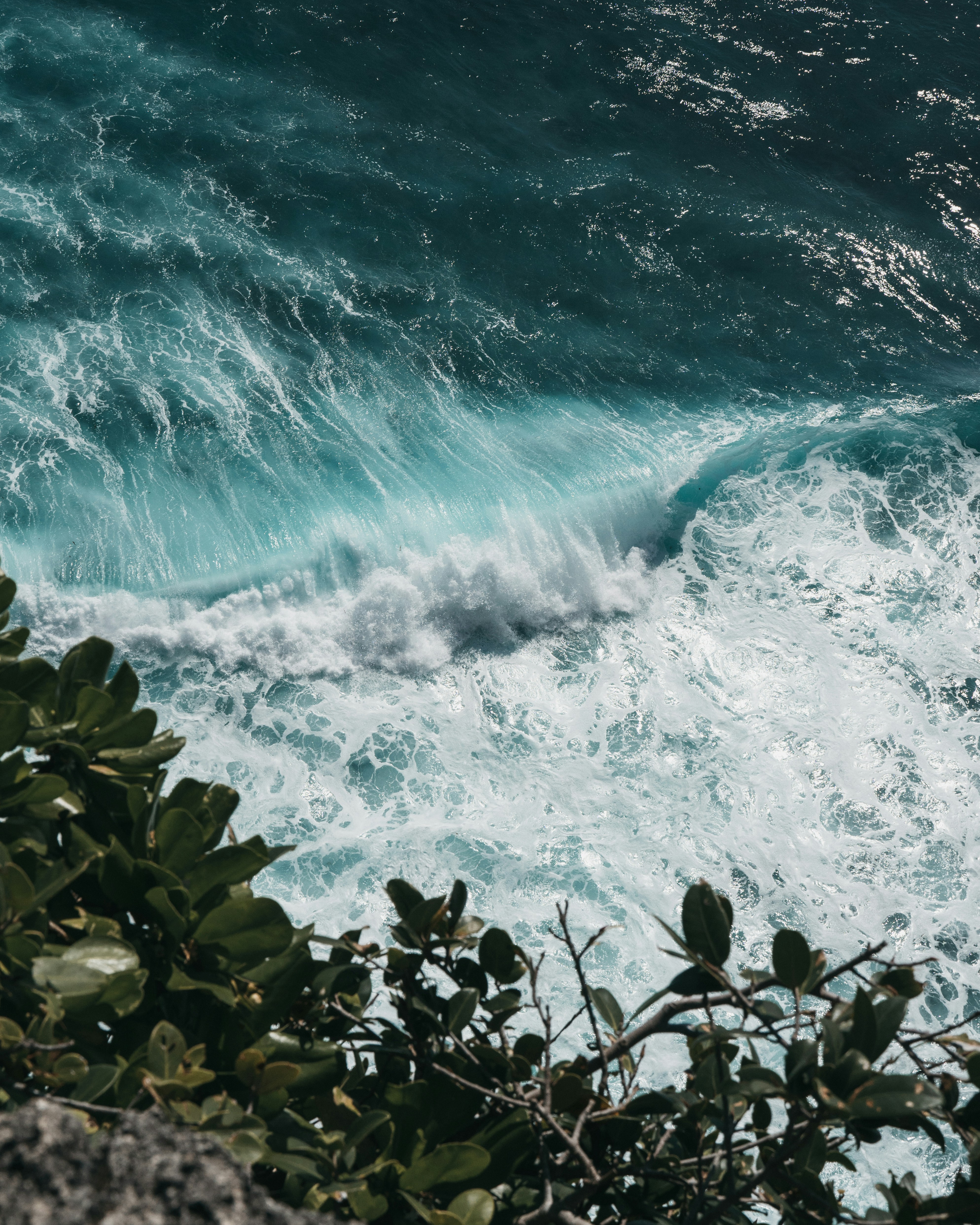 Photo by p_kuzovkova