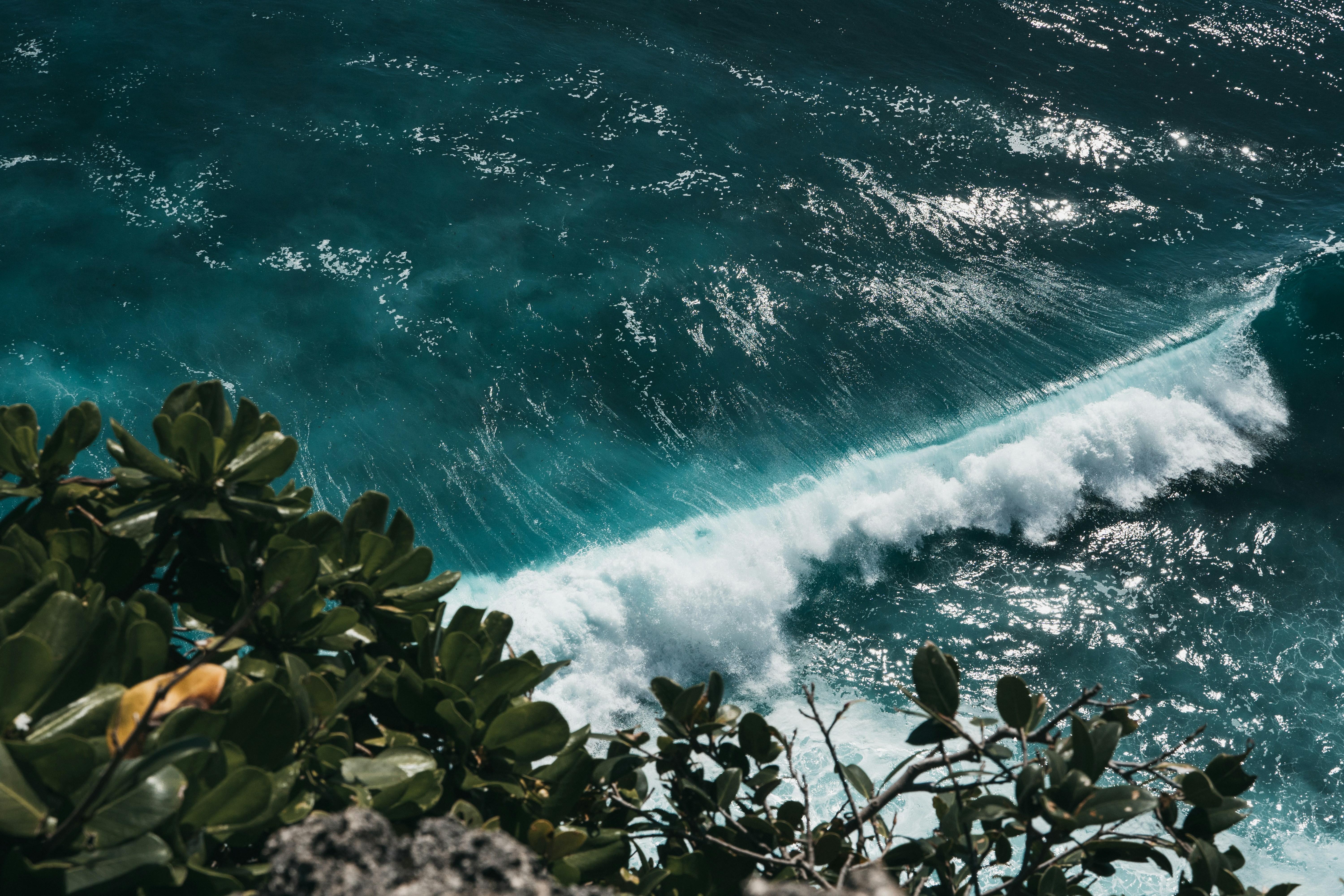 Photo by p_kuzovkova