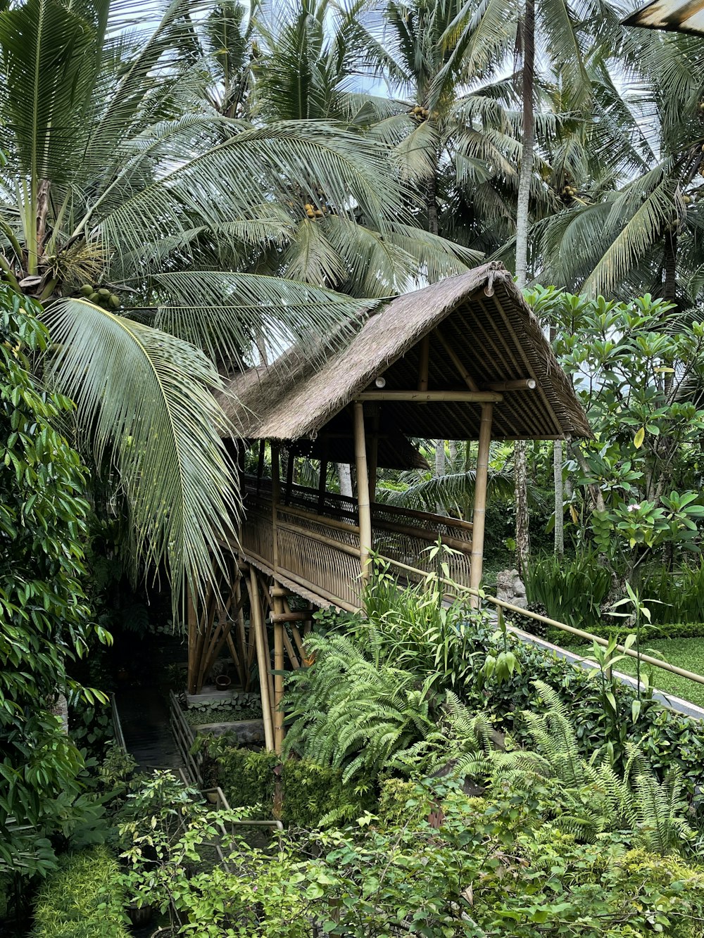 brown wooden house surrounded by green plants