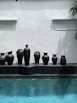 black clay pots on black ceramic vase