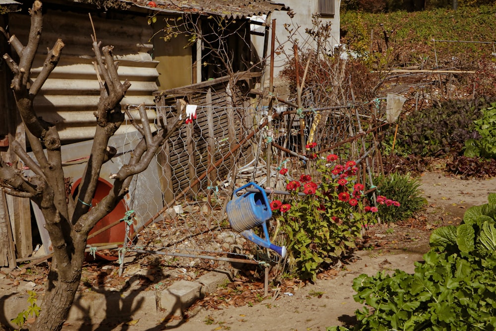 blue plastic trash bin beside white wooden fence