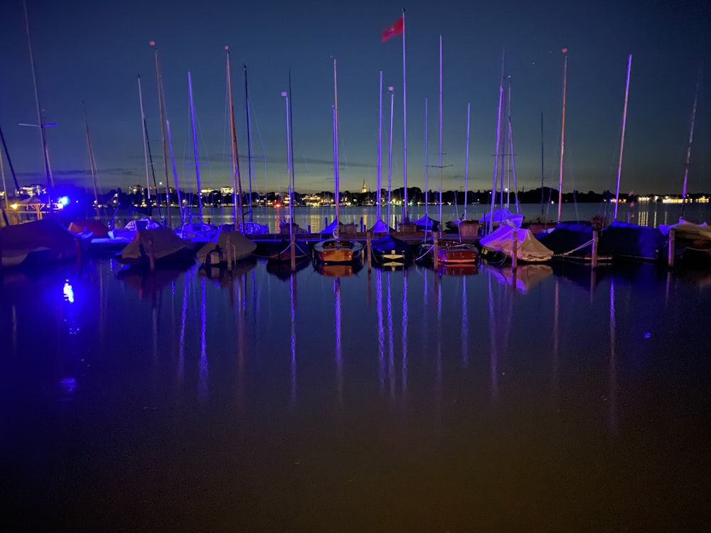 boats on dock during night time