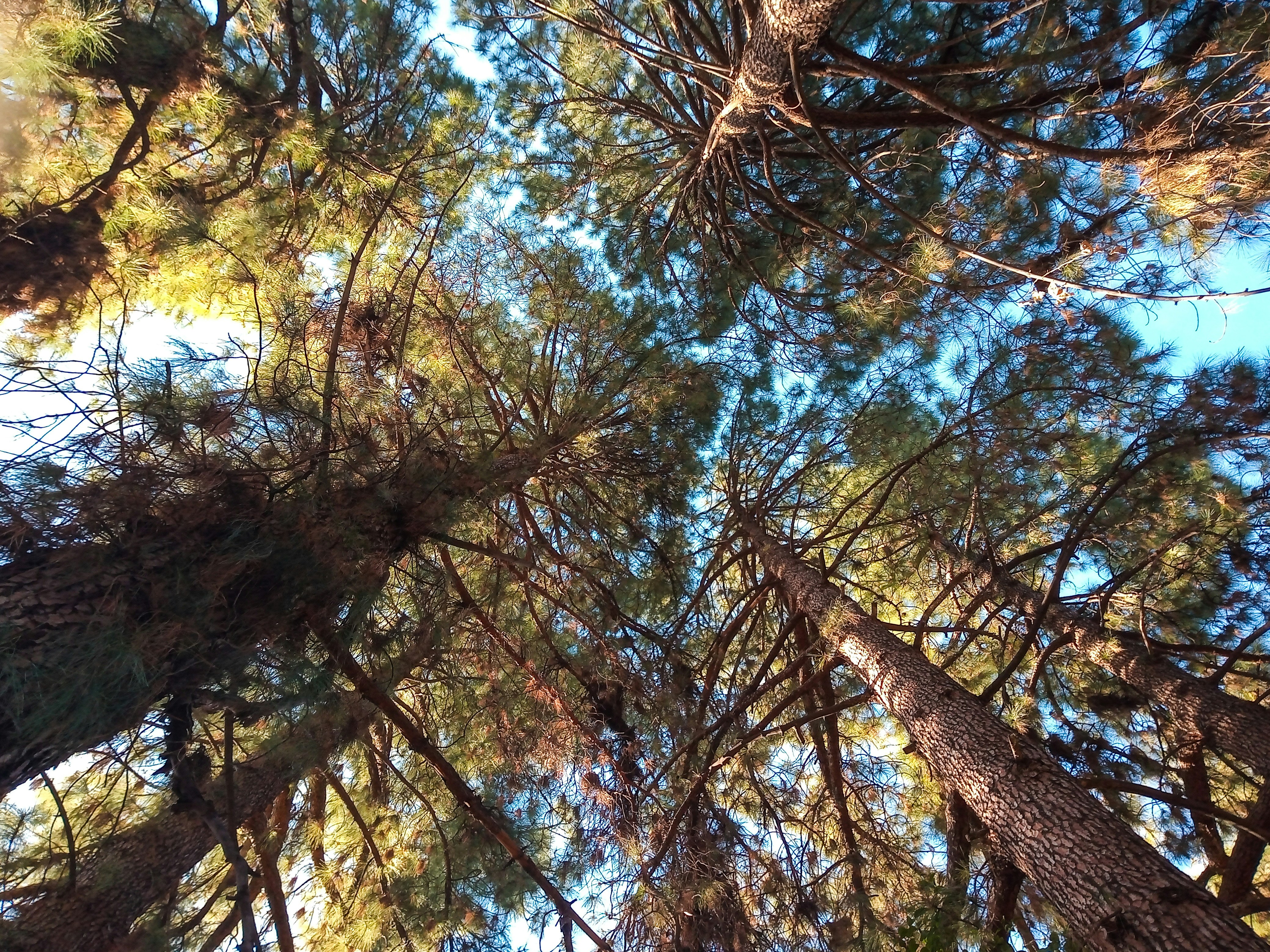 Photo by valeriatofi