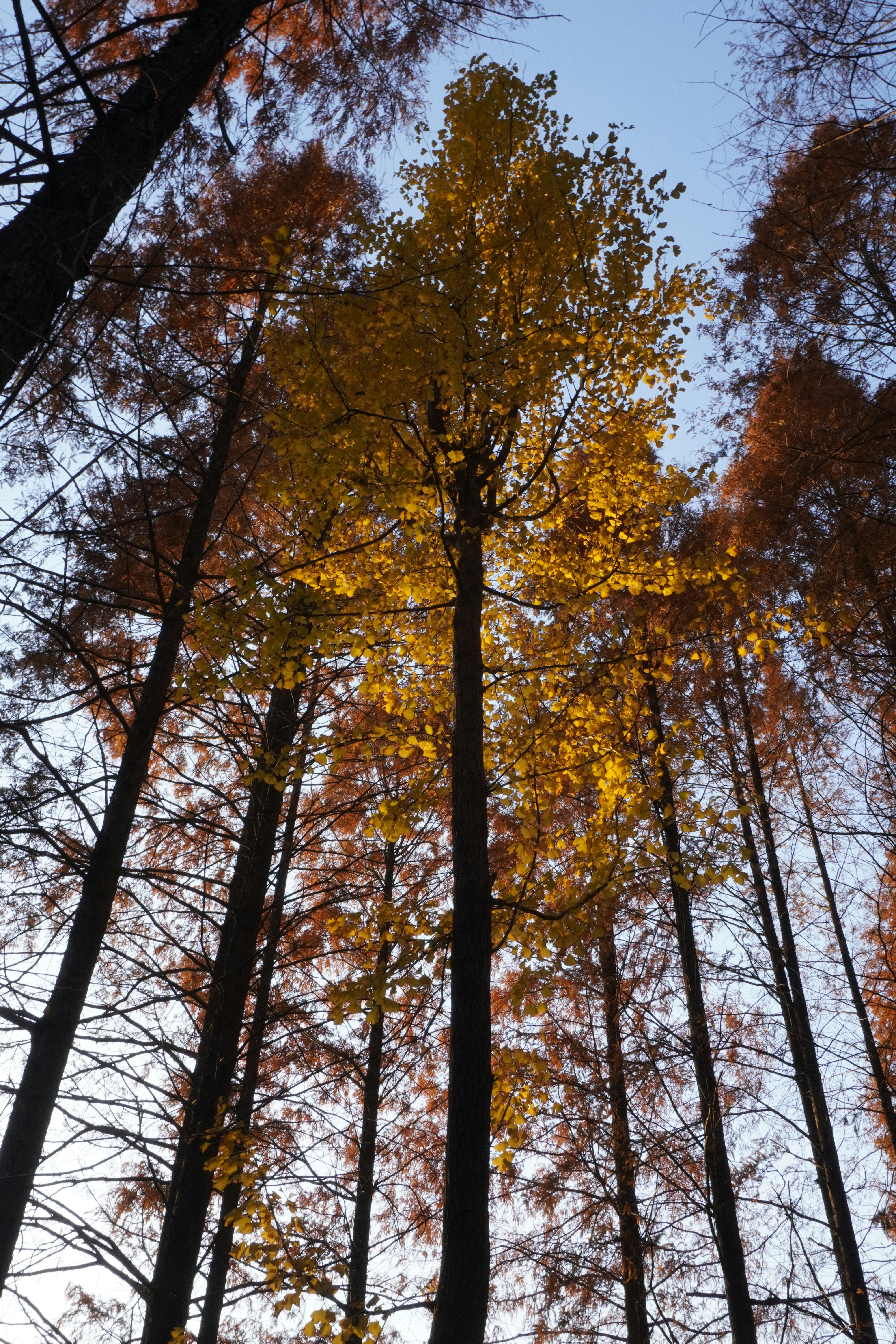 Photo by sakamotomari