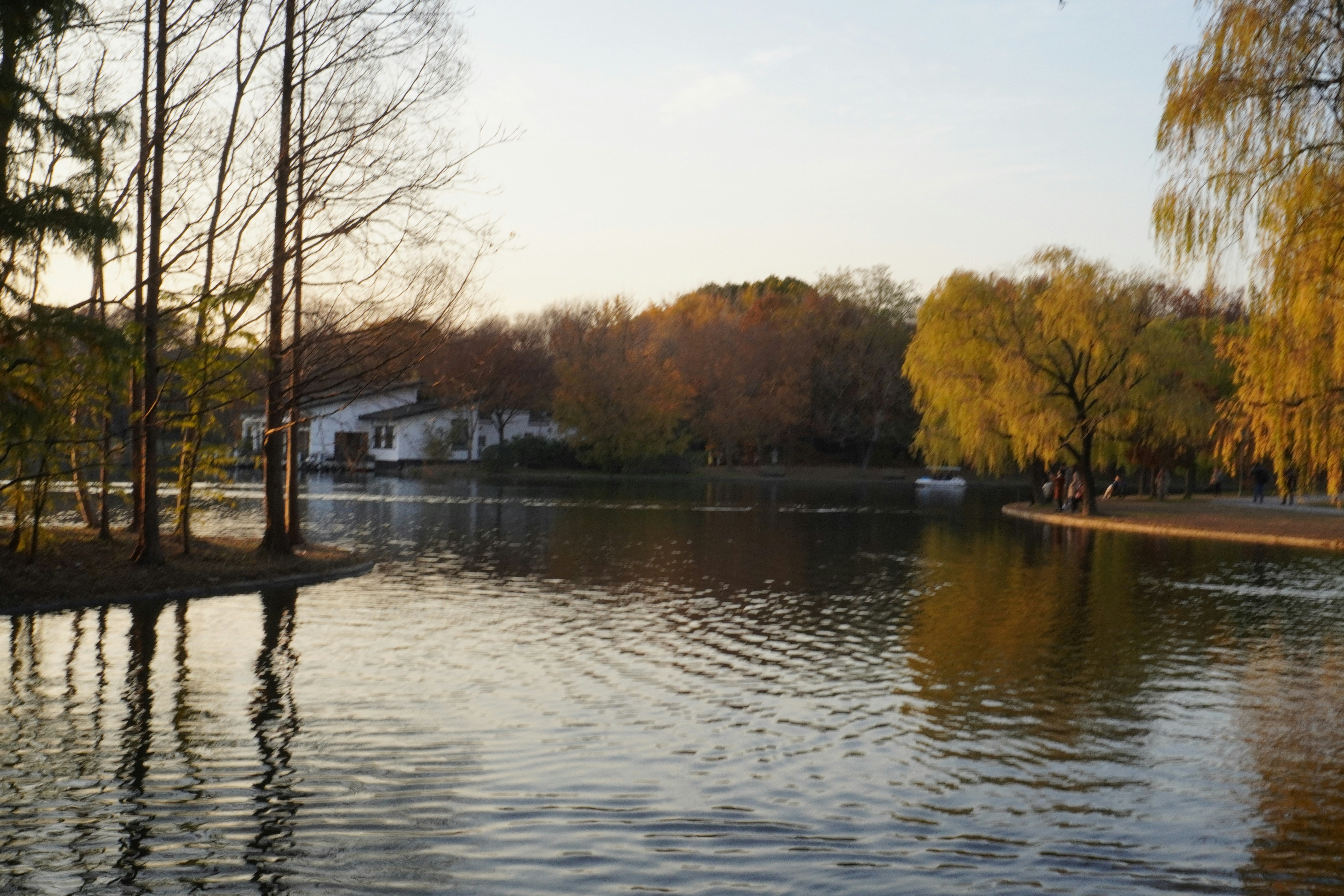 Photo by sakamotomari