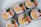Several pieces of sushi rolls arranged on a white plate. The rolls contain ingredients like crab sticks, shredded egg omelet, carrot, and leafy greens wrapped in rice and seaweed.