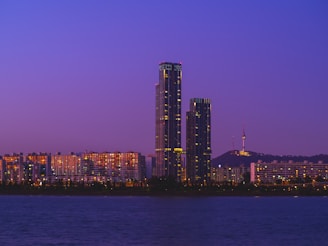 city skyline during night time