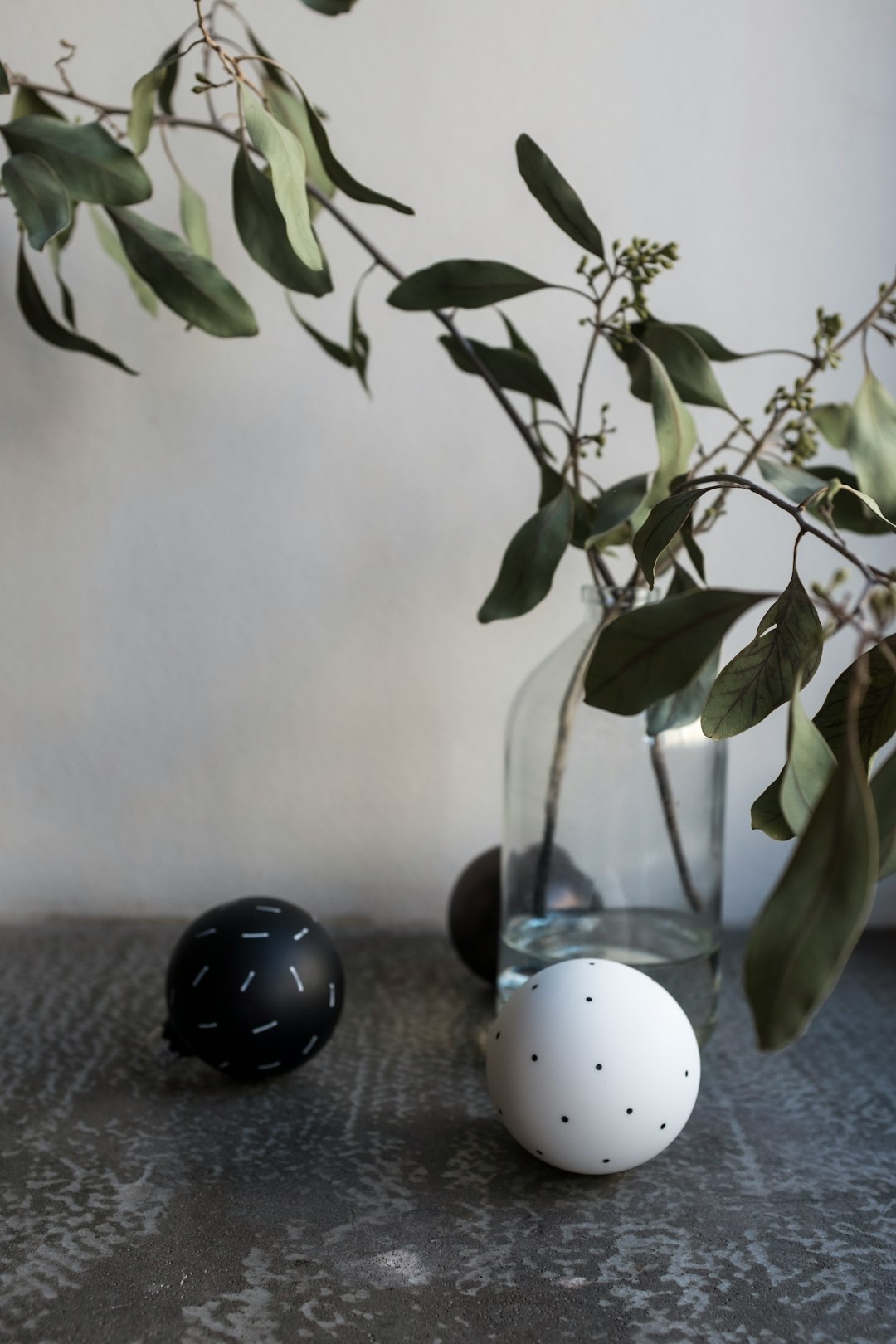 white and black polka dot egg on green plant