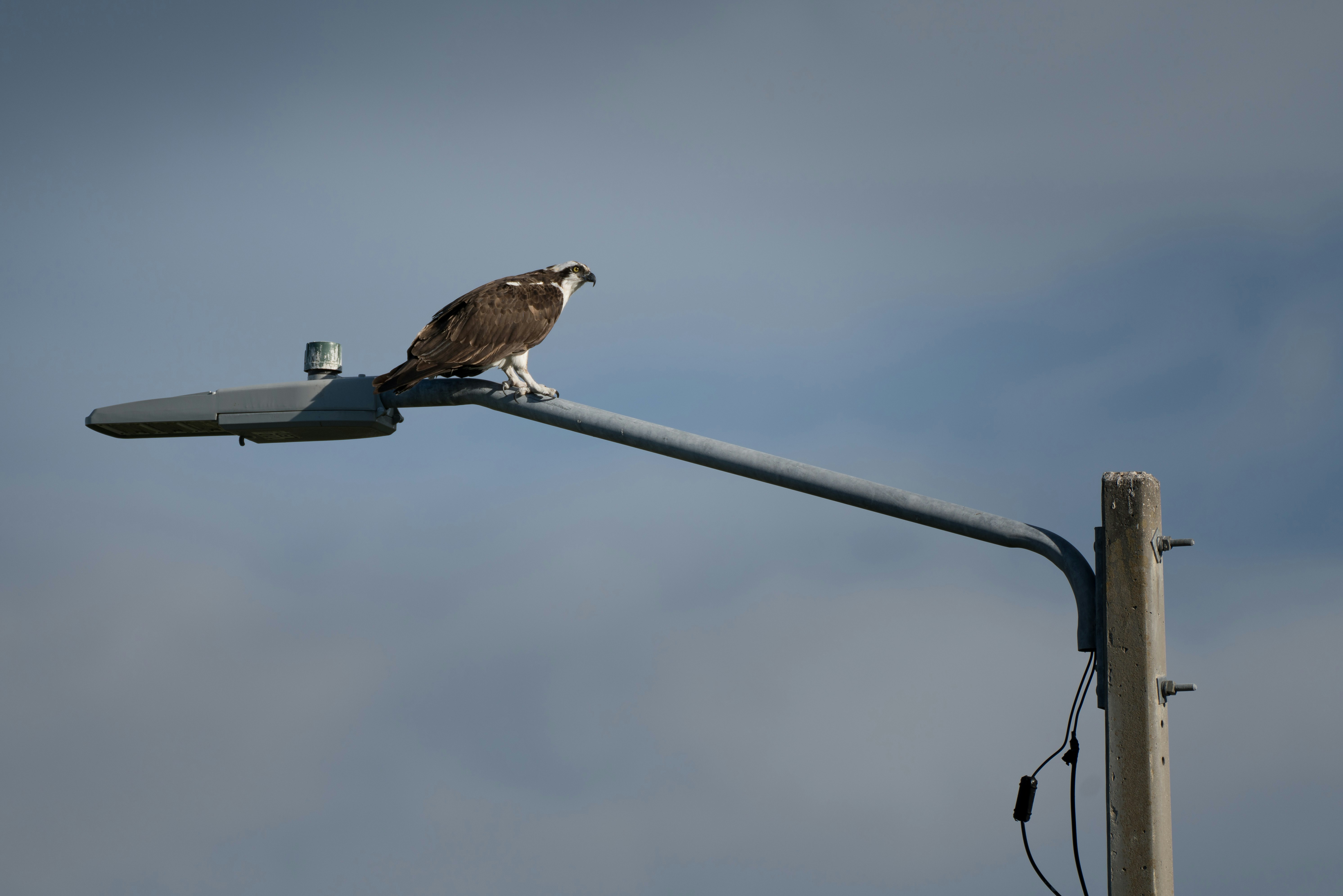 Photo by karographix